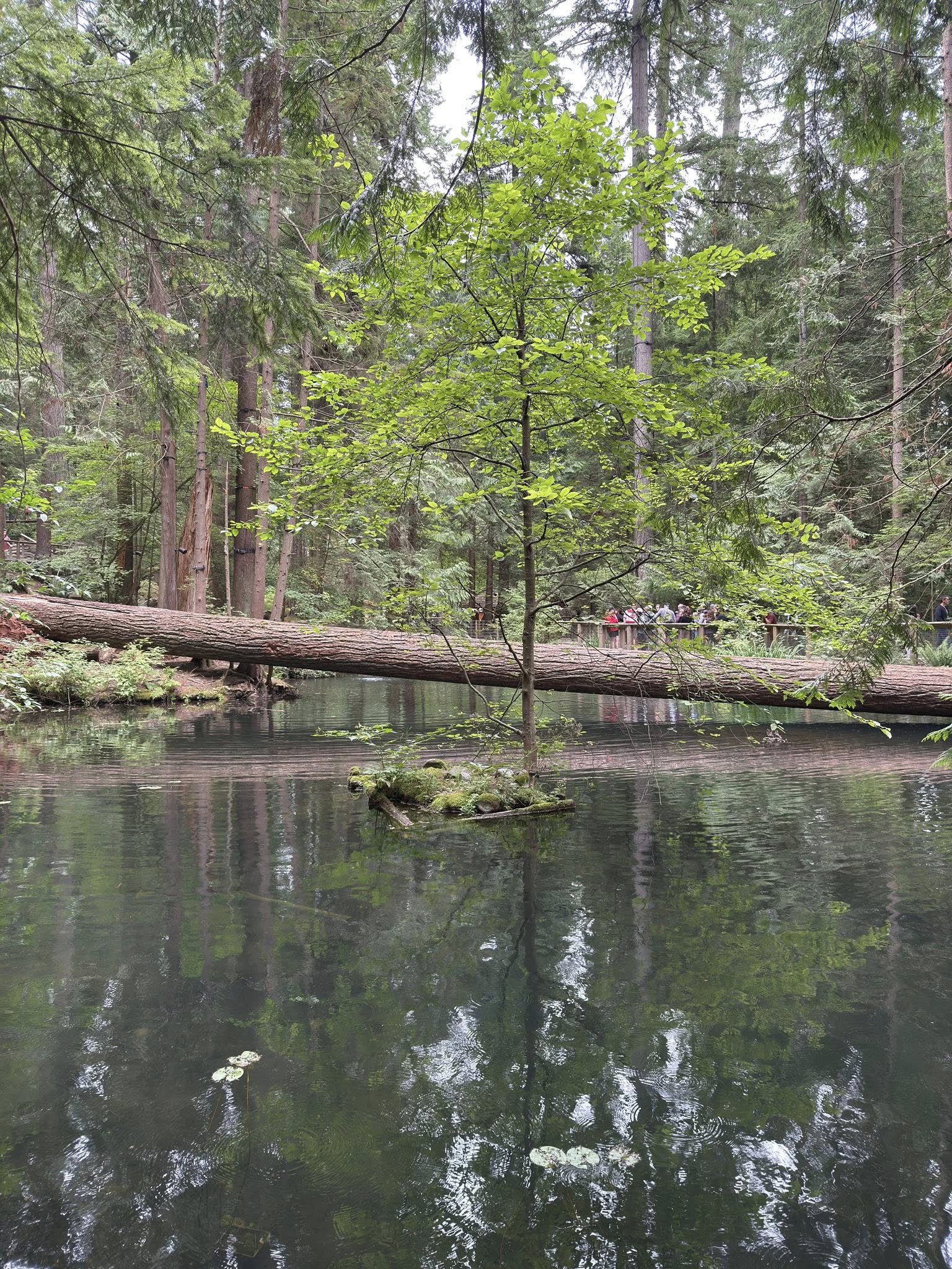 504378227_122224801790133510_8965116835244321387_n 504378227_122224801790133510_8965116835244321387_n