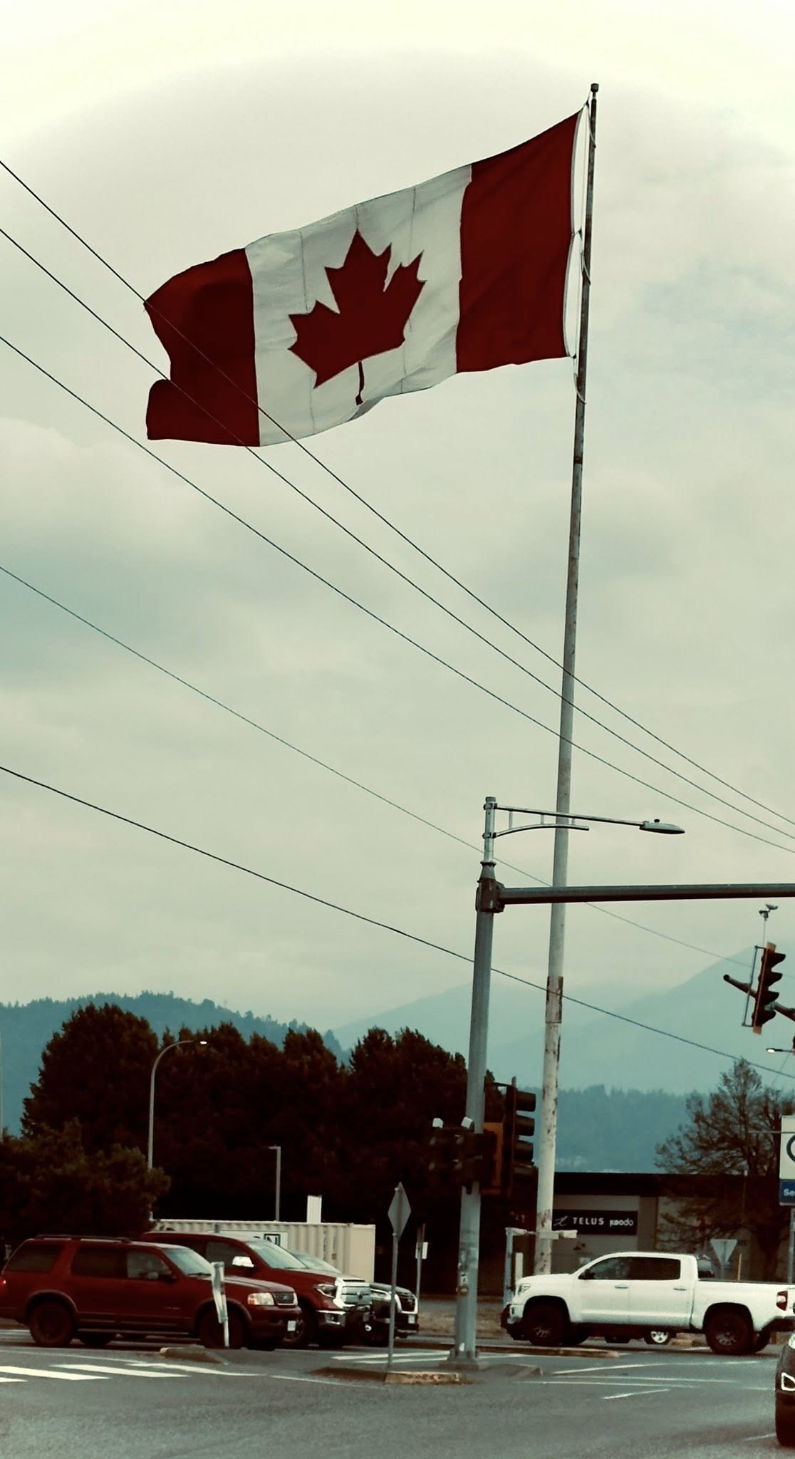 504378426_122224800608133510_4980706551365781514_n 504378426_122224800608133510_4980706551365781514_n