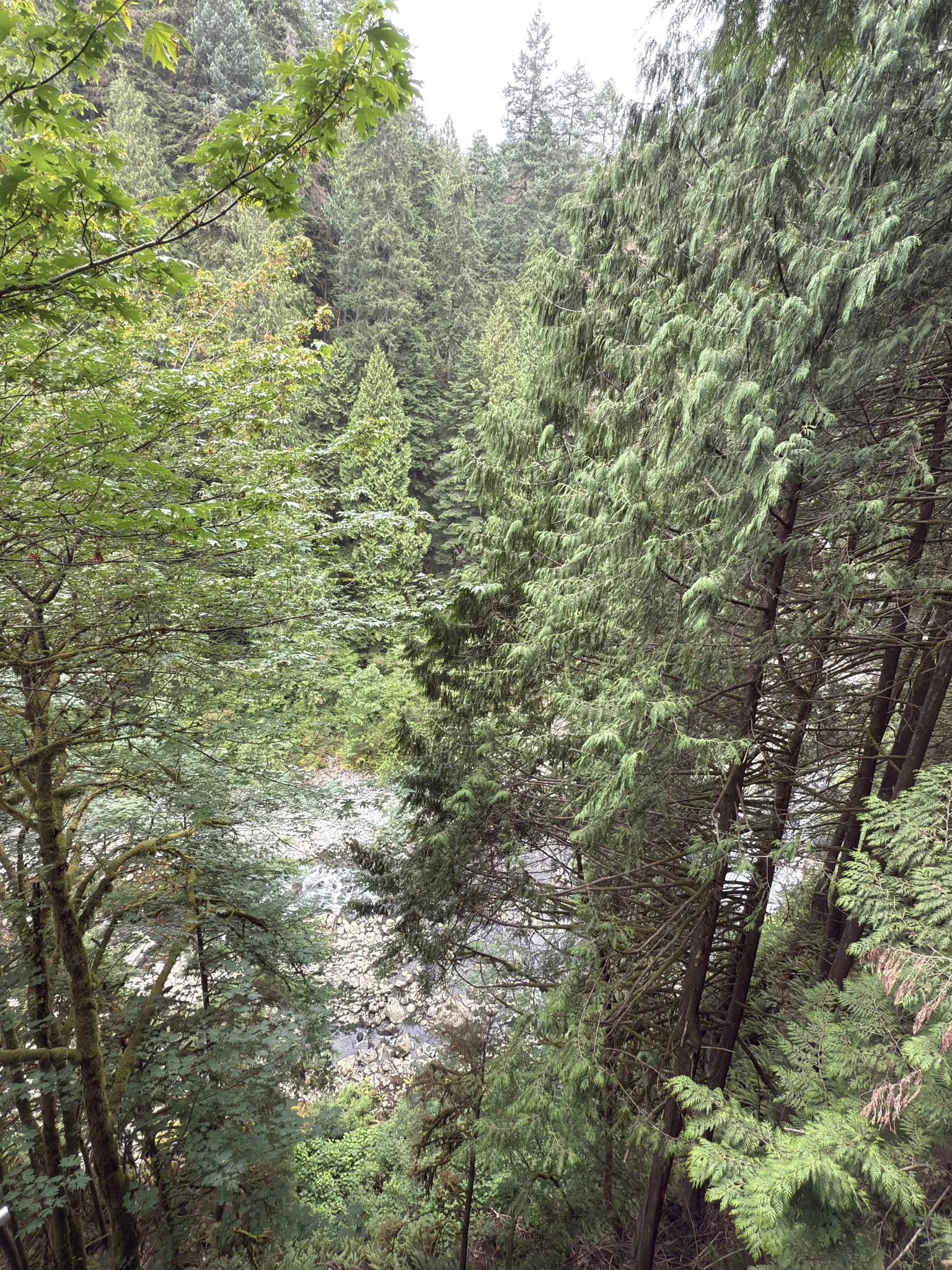 504380174_122224798190133510_6643505831851599979_n 504380174_122224798190133510_6643505831851599979_n