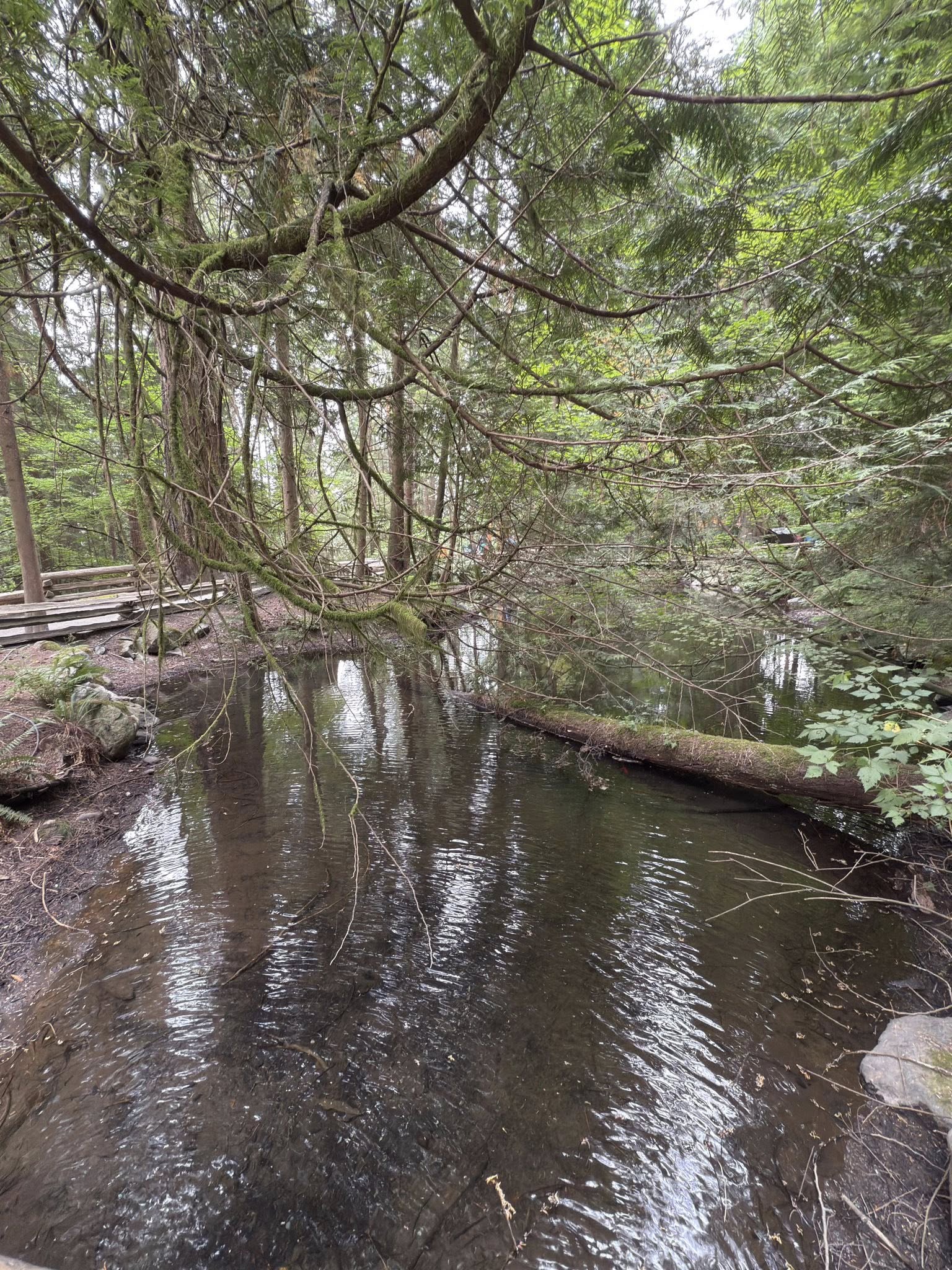 506709965_122224801856133510_7502315544522401551_n 506709965_122224801856133510_7502315544522401551_n