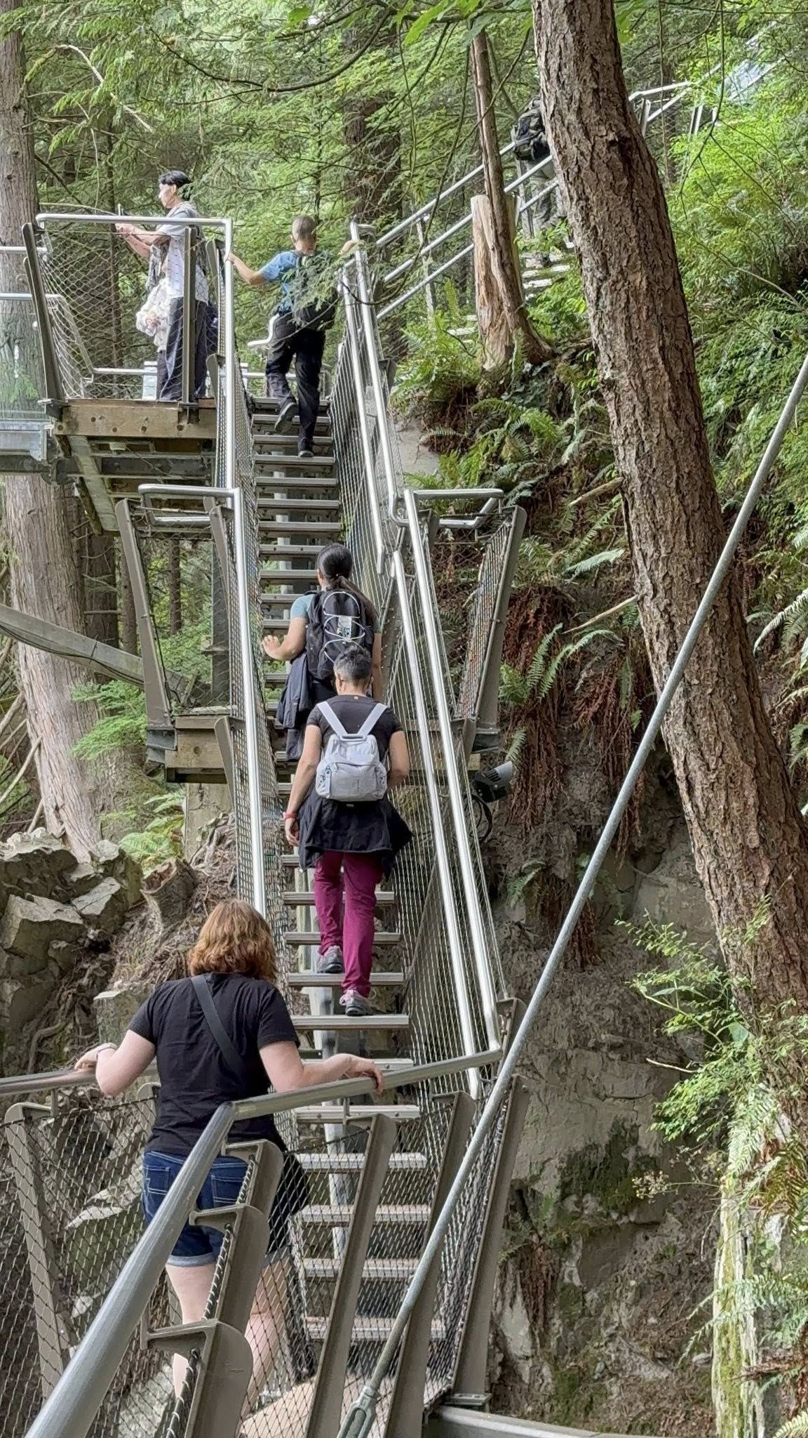 506750742_122224801244133510_1936872863866721766_n 506750742_122224801244133510_1936872863866721766_n