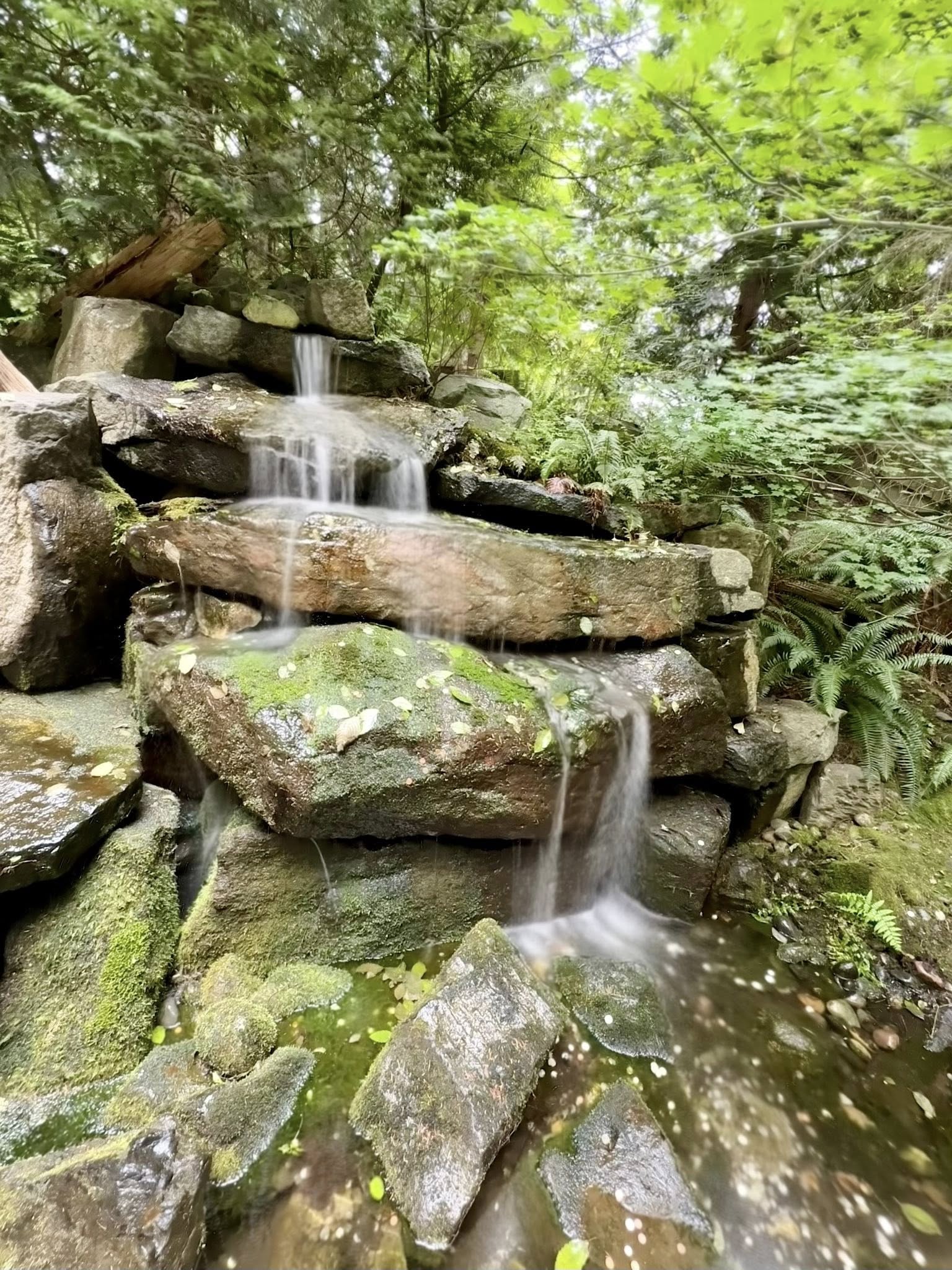 512695419_122224800824133510_1948378258013799773_n 512695419_122224800824133510_1948378258013799773_n