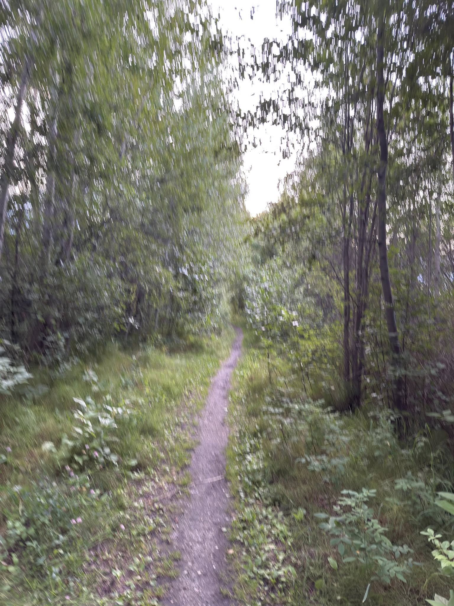 514336610_122225676854133510_5976618392709548303_n 514336610_122225676854133510_5976618392709548303_n