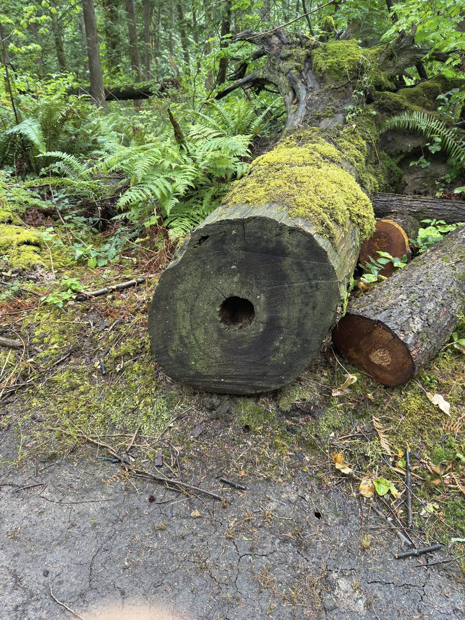 517356511_122225074910133510_5674762372981355778_n 517356511_122225074910133510_5674762372981355778_n