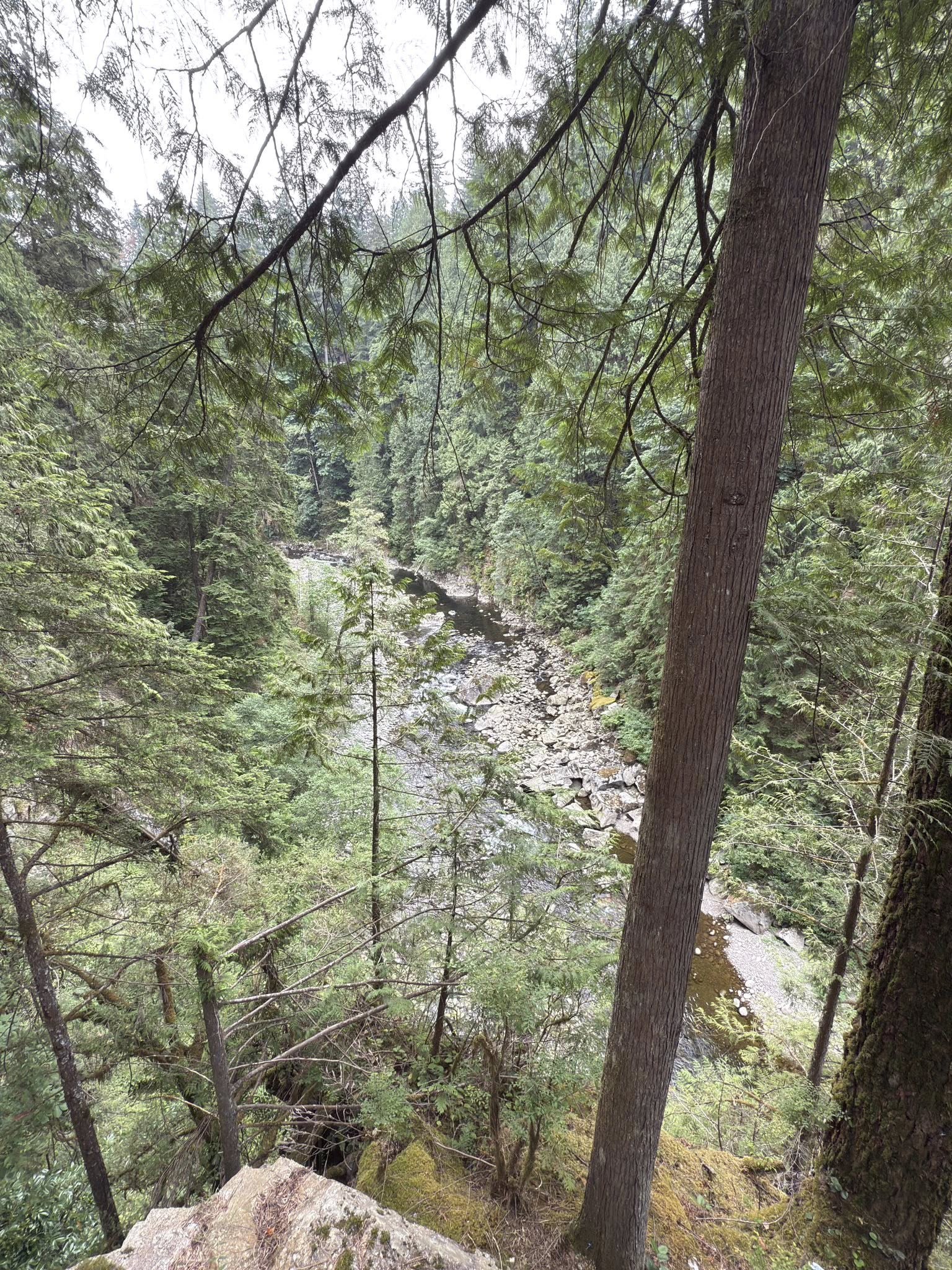 520540005_122224800716133510_1308955838749730117_n 520540005_122224800716133510_1308955838749730117_n