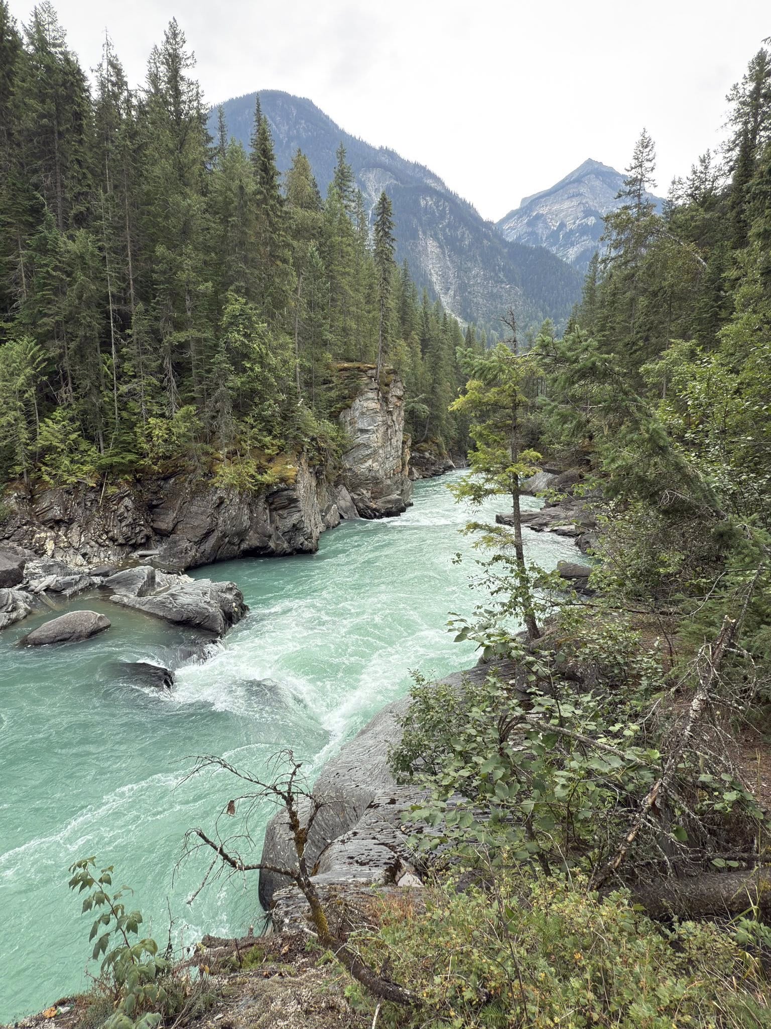 520597776_122225675888133510_5076597842669607036_n 520597776_122225675888133510_5076597842669607036_n