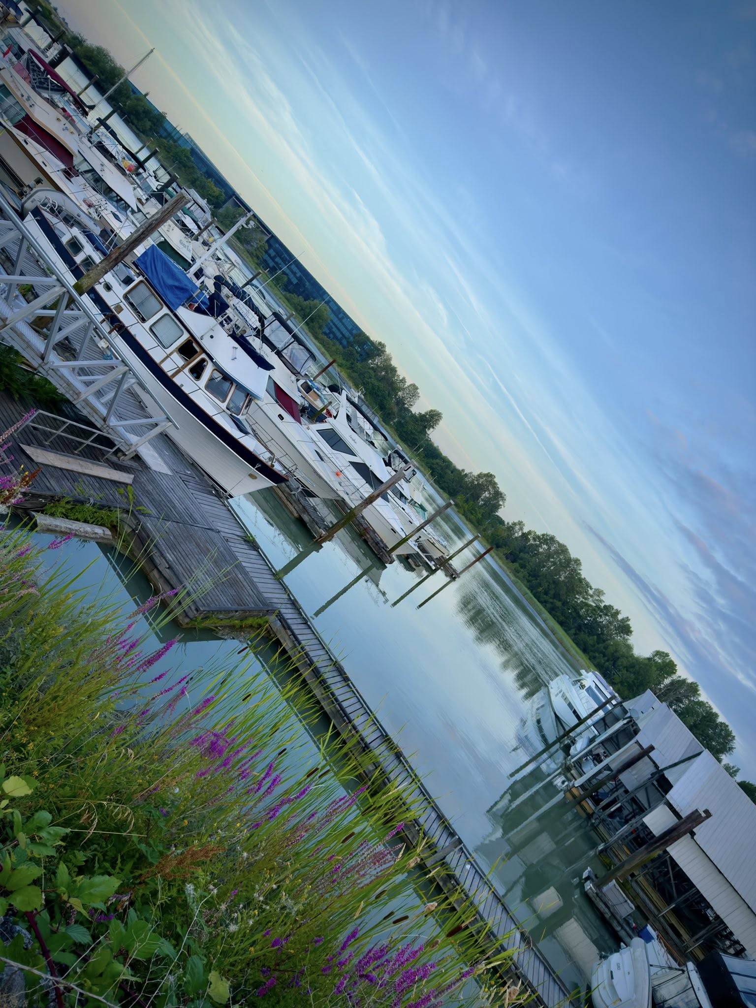 527309913_122224669640133510_3190246666647408554_n 527309913_122224669640133510_3190246666647408554_n