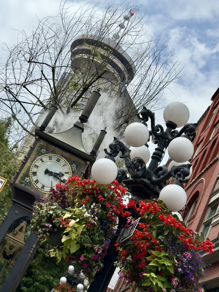 528028478_122224668554133510_642246038534790480_n 528028478_122224668554133510_642246038534790480_n