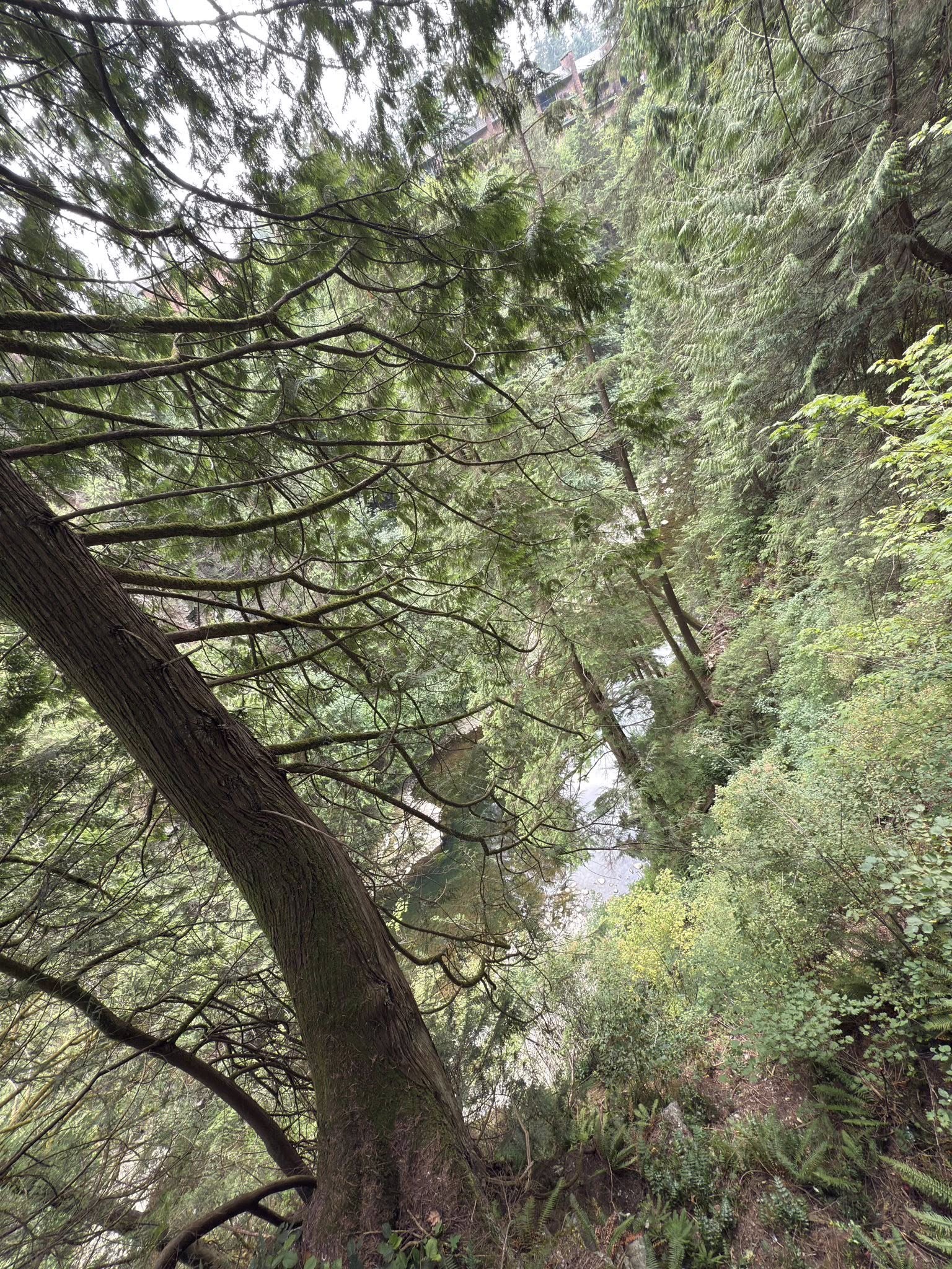 528033376_122224800836133510_728783544170833440_n 528033376_122224800836133510_728783544170833440_n