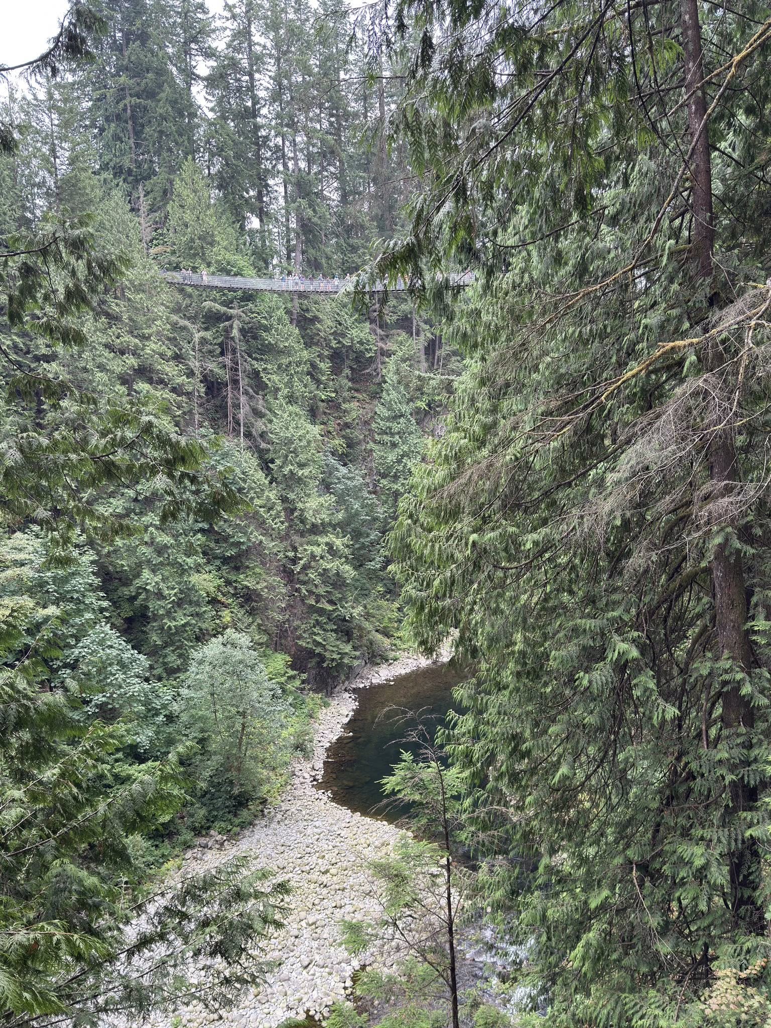 528123474_122224800806133510_4815934026349069840_n 528123474_122224800806133510_4815934026349069840_n