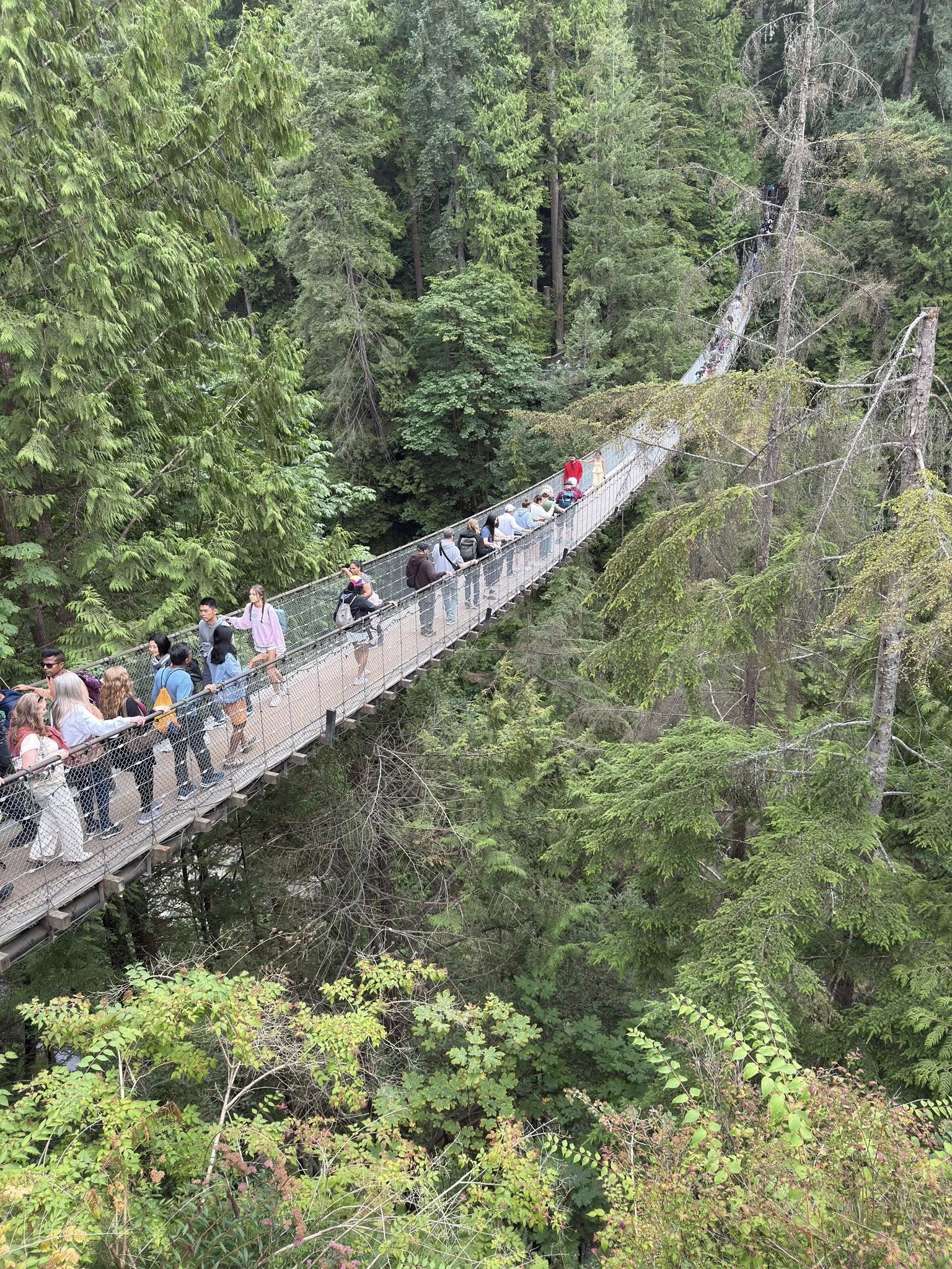 528224536_122224799654133510_8542807780364783527_n 528224536_122224799654133510_8542807780364783527_n