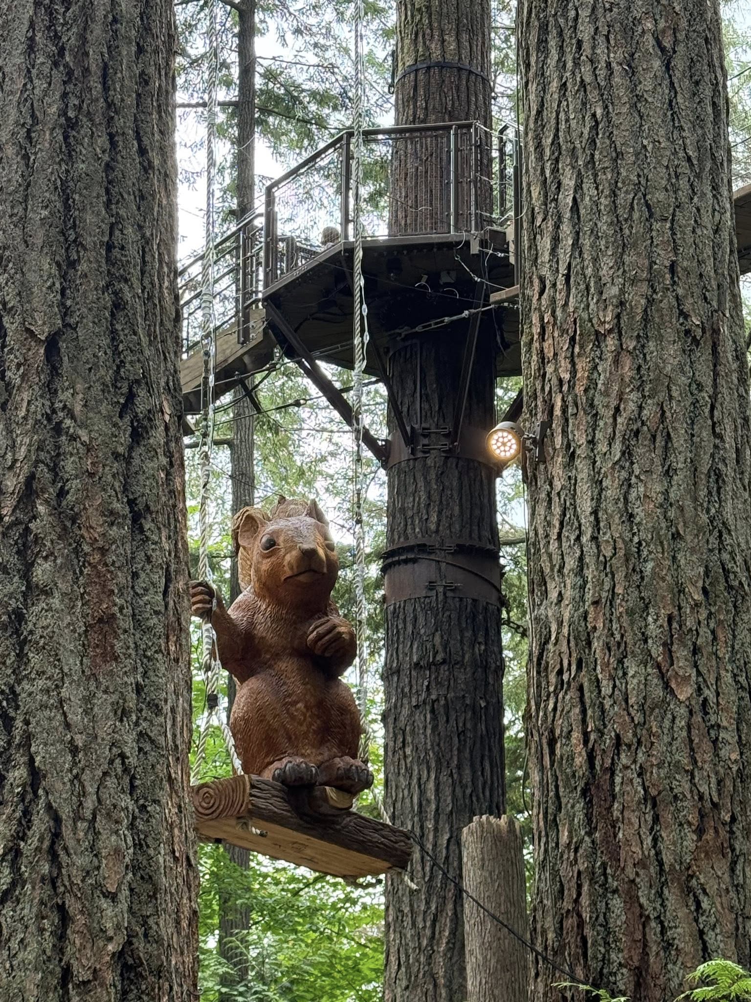 528227803_122224798616133510_3220900445752368748_n 528227803_122224798616133510_3220900445752368748_n