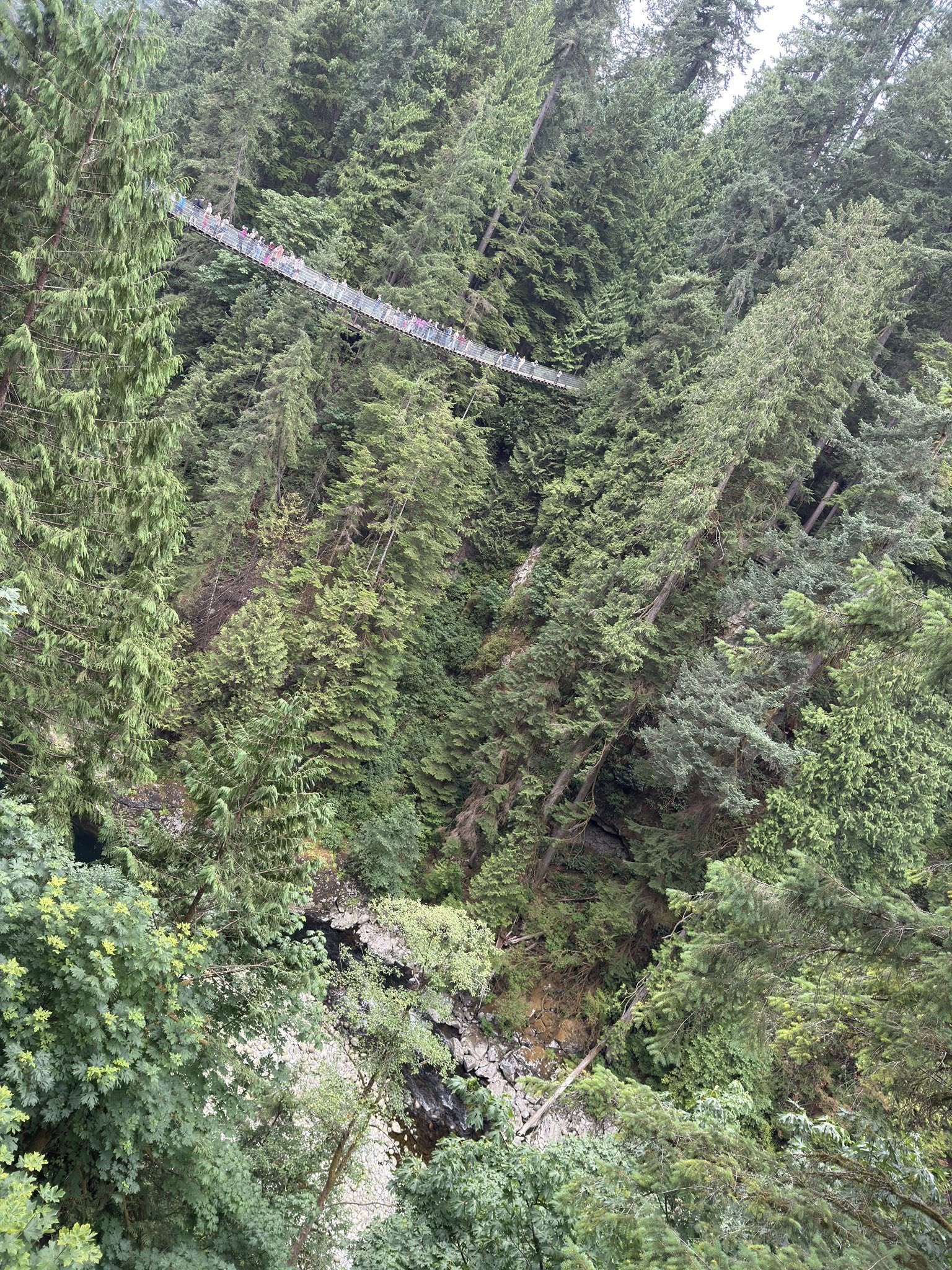 528240005_122224797314133510_6463101869667262770_n 528240005_122224797314133510_6463101869667262770_n