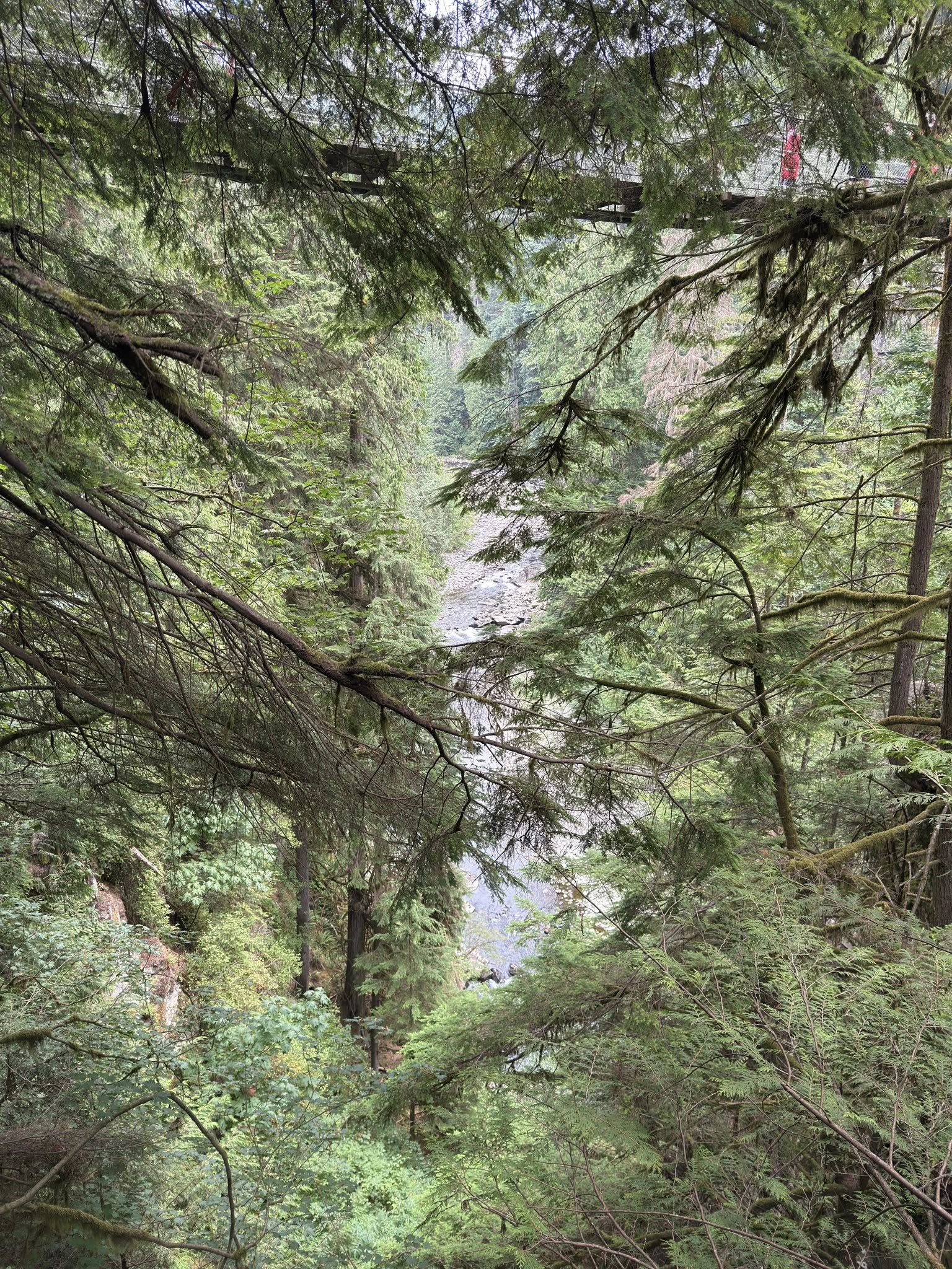 528257153_122224799378133510_7704890302758748998_n 528257153_122224799378133510_7704890302758748998_n