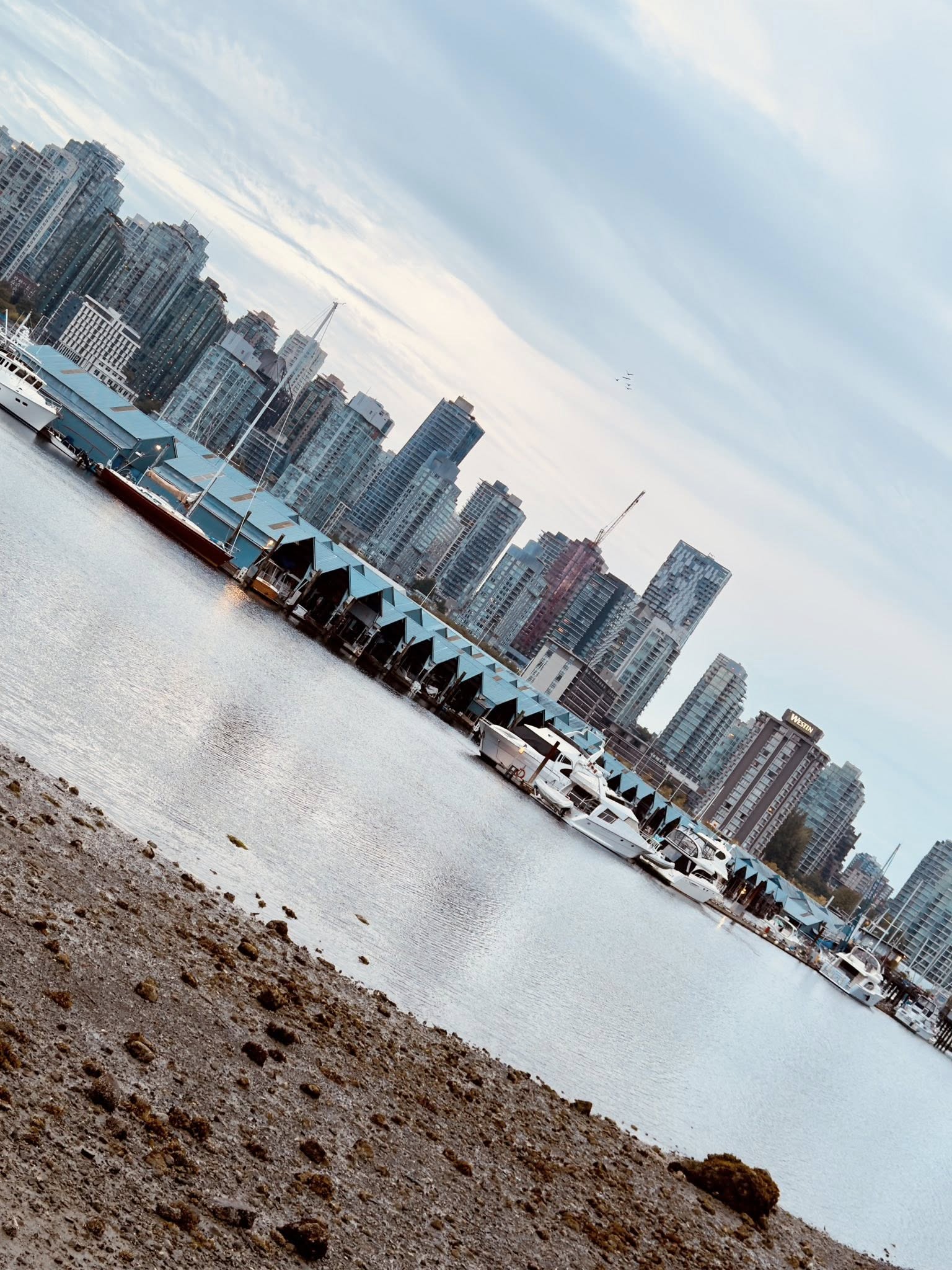 528327367_122224671842133510_6625834974156428384_n 528327367_122224671842133510_6625834974156428384_n