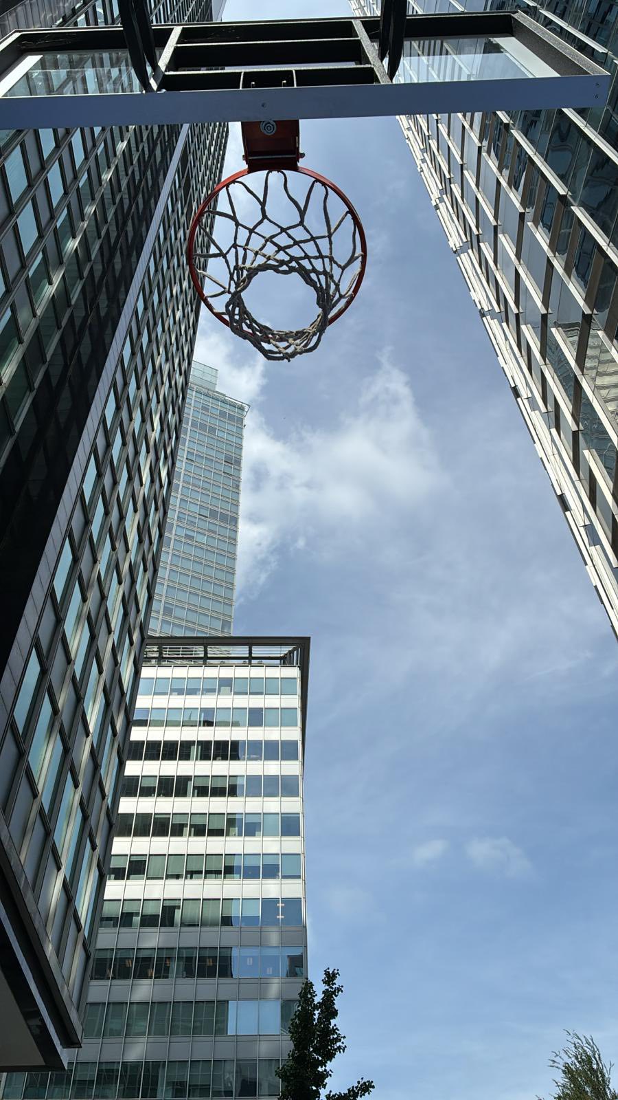 528335950_122224669904133510_188057192832447952_n 528335950_122224669904133510_188057192832447952_n