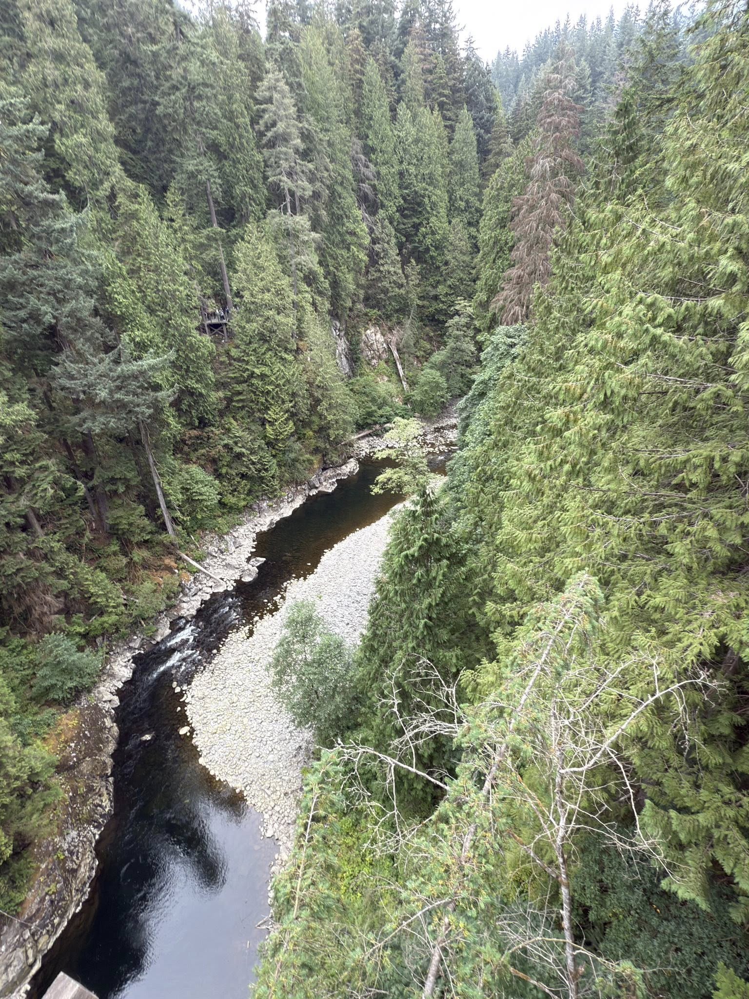 528361331_122224800560133510_8880942540897026126_n 528361331_122224800560133510_8880942540897026126_n