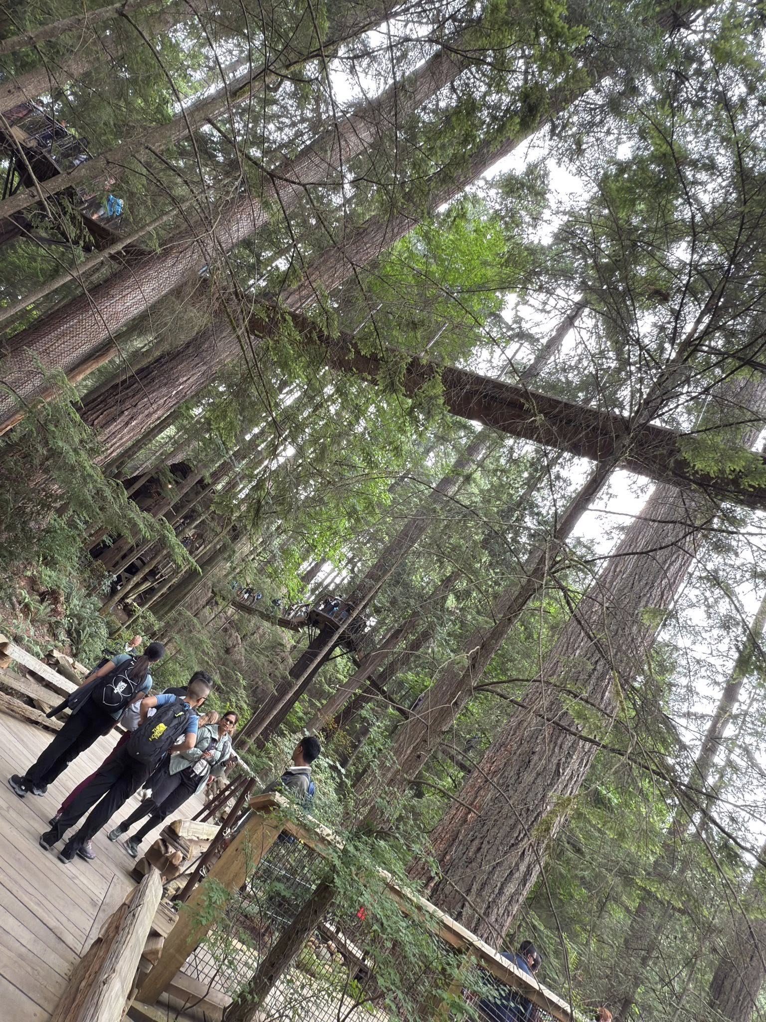 528401980_122224799438133510_6051461305582365467_n 528401980_122224799438133510_6051461305582365467_n