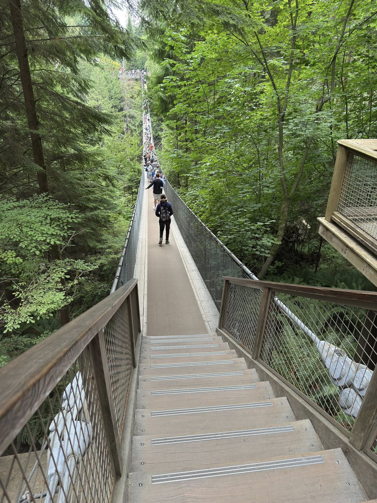 528405971_122224801748133510_1043978345341255868_n 528405971_122224801748133510_1043978345341255868_n