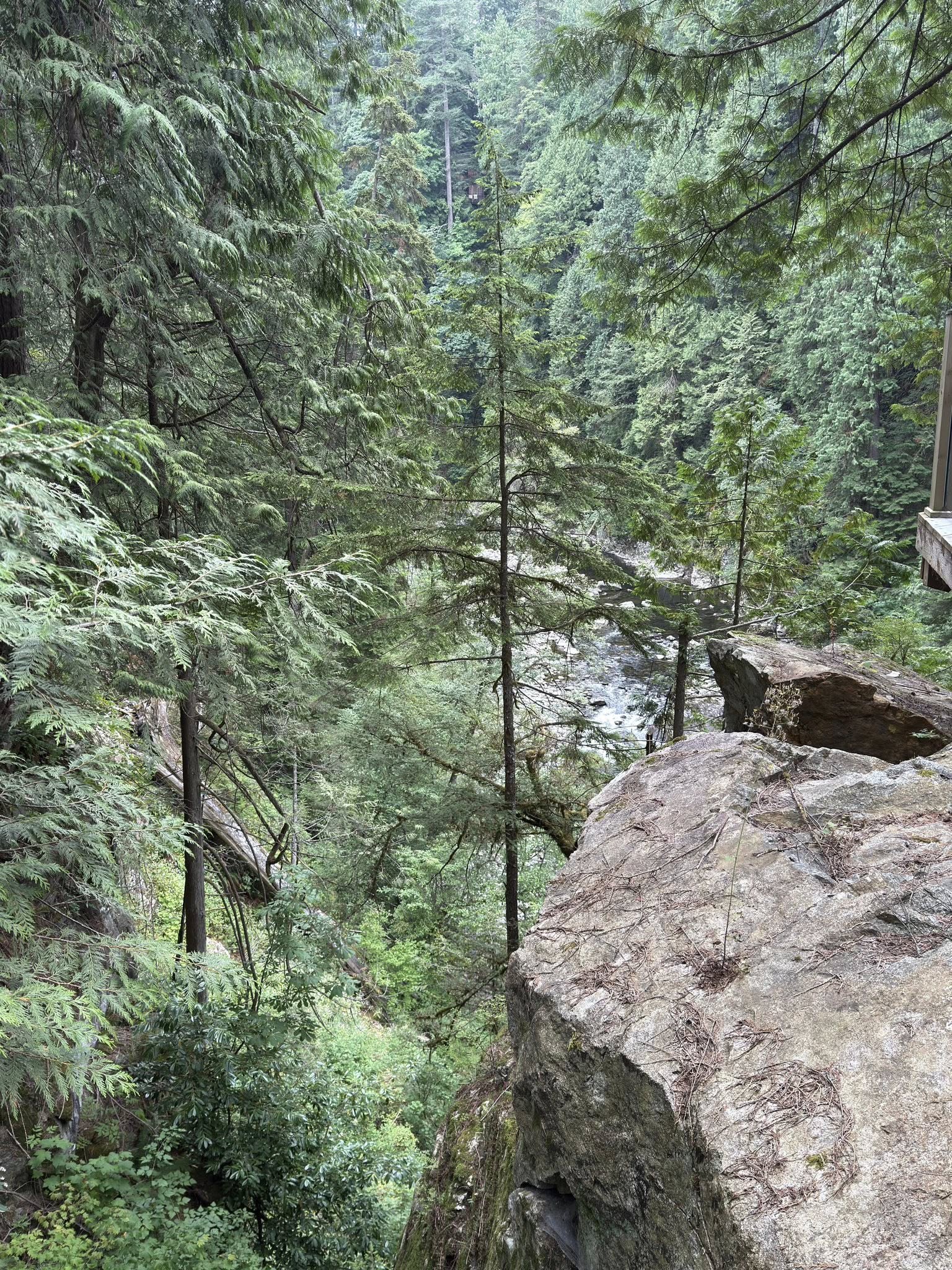 528608058_122224796564133510_7390306471009086363_n 528608058_122224796564133510_7390306471009086363_n