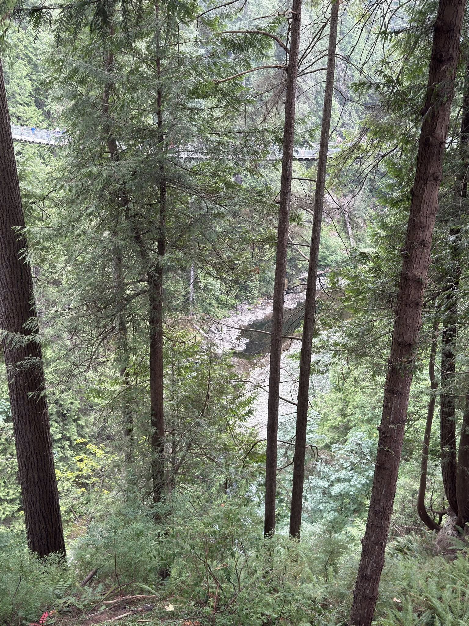 528612577_122224801760133510_1331094270902727716_n 528612577_122224801760133510_1331094270902727716_n