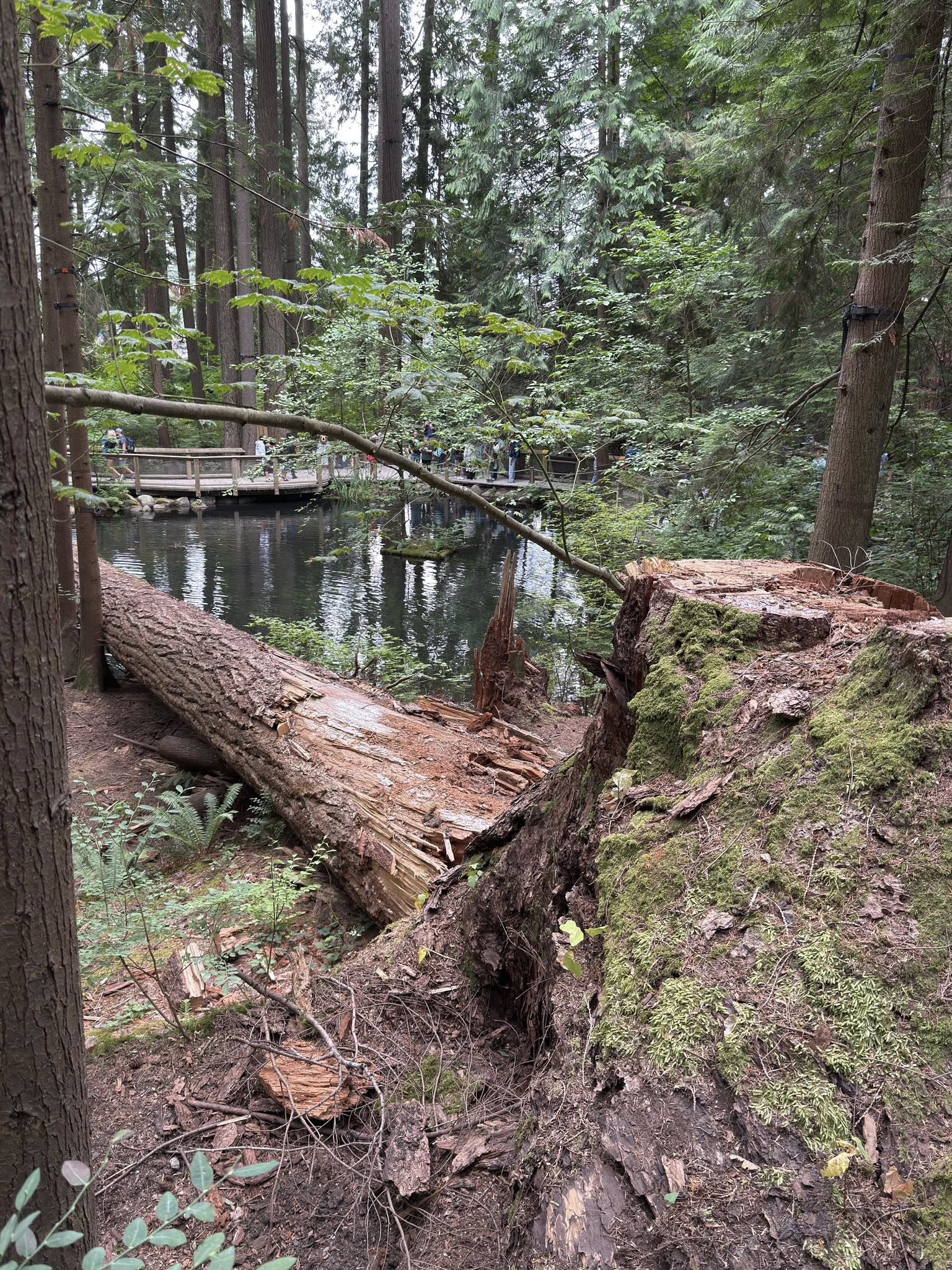 528634732_122224798934133510_2911865557453557091_n 528634732_122224798934133510_2911865557453557091_n