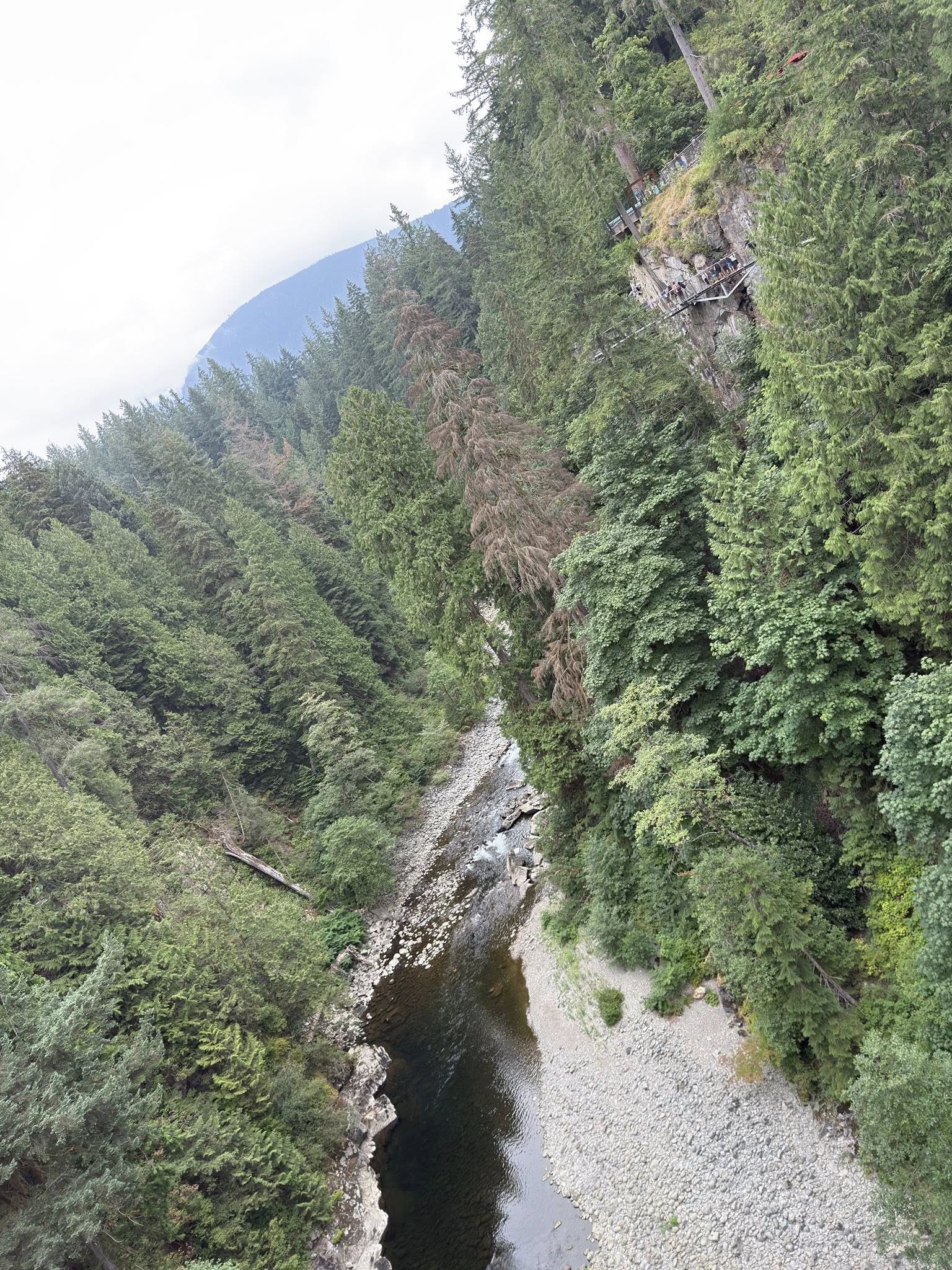 528786010_122224801544133510_8457194414127307657_n 528786010_122224801544133510_8457194414127307657_n