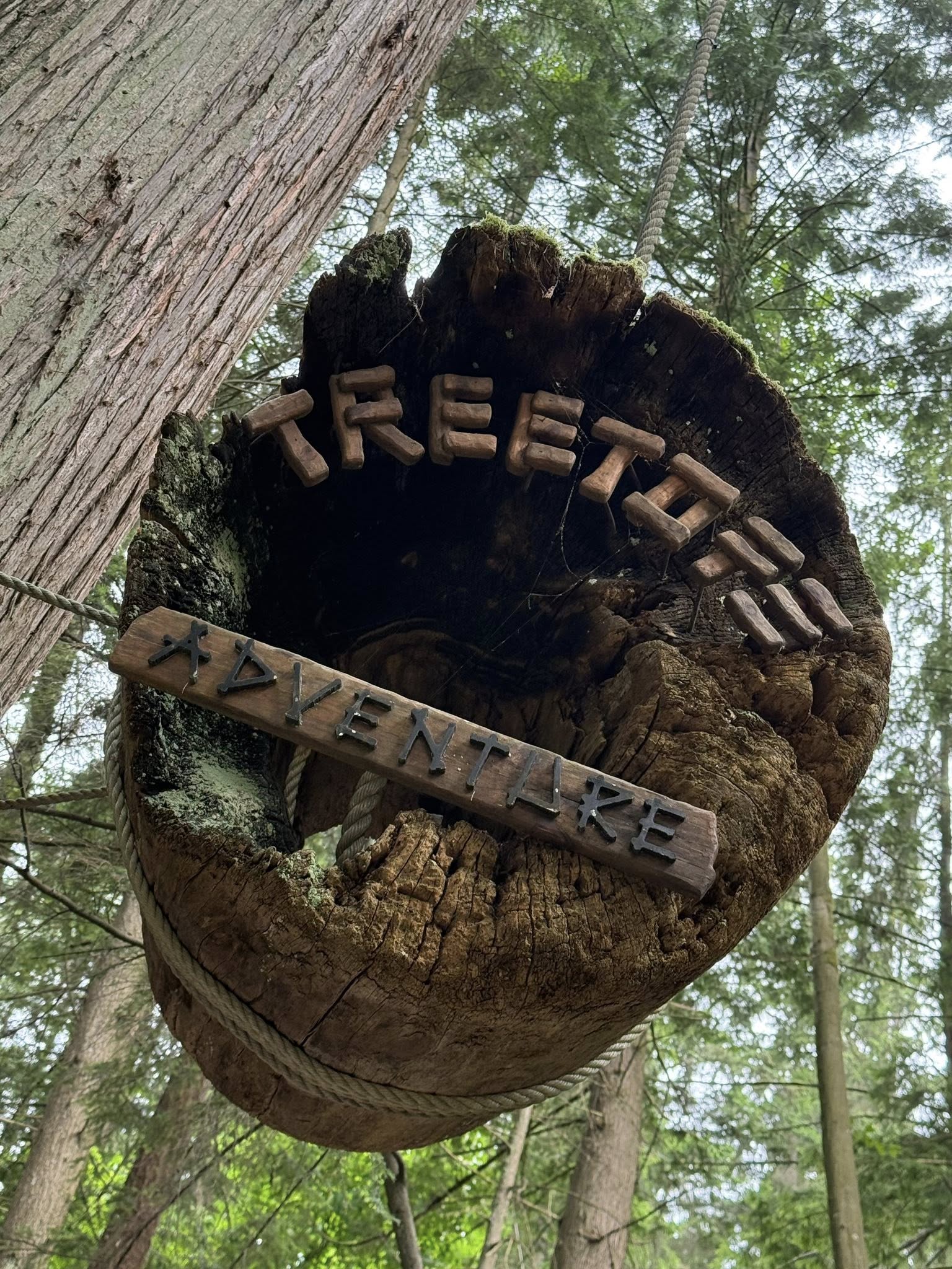 528868077_122224800584133510_1748015386042748991_n 528868077_122224800584133510_1748015386042748991_n