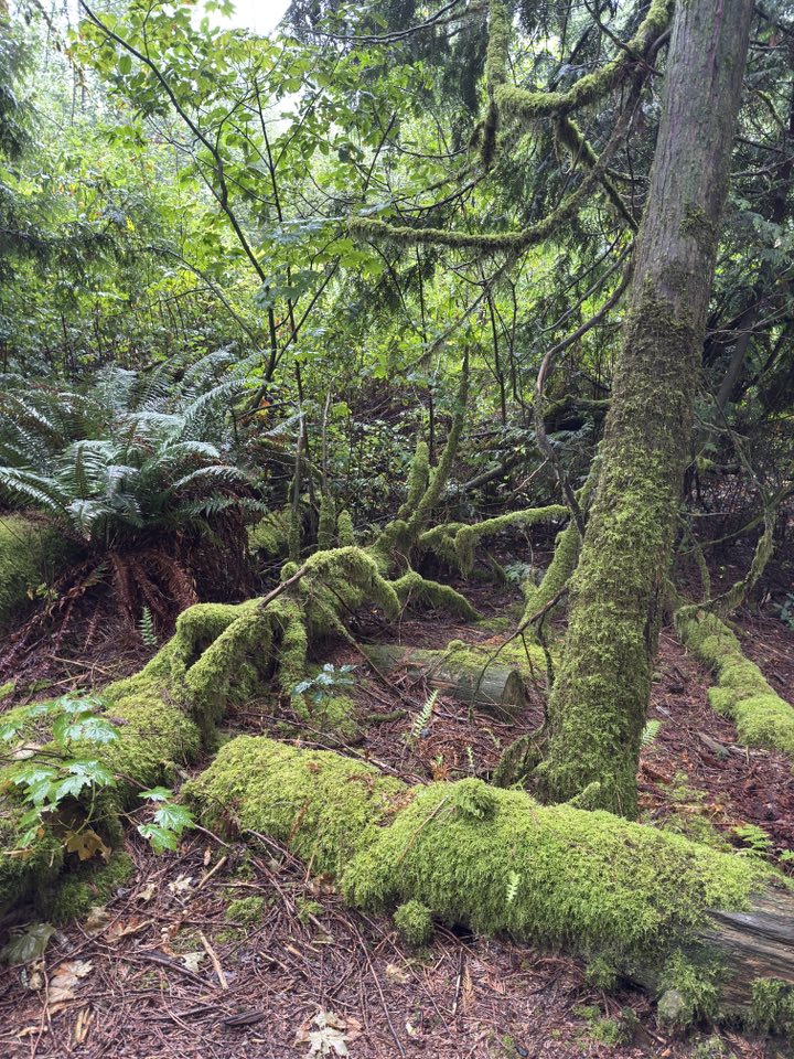 529004996_122225072090133510_5579923765999685021_n 529004996_122225072090133510_5579923765999685021_n