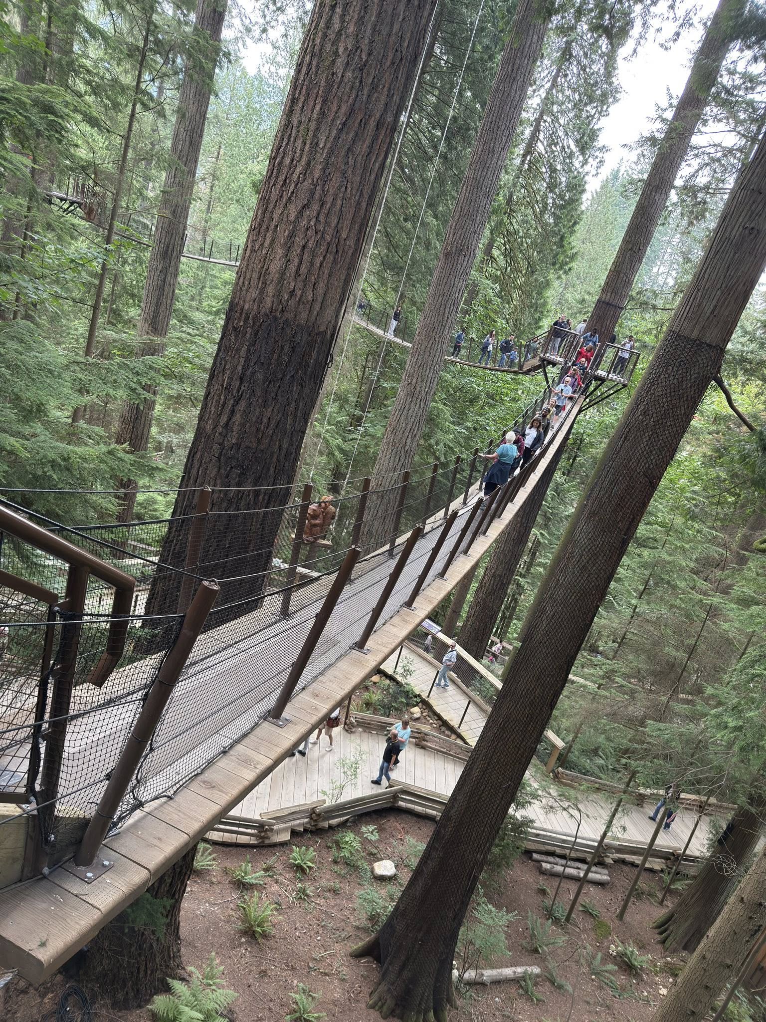 529008141_122224801868133510_1392615226777889833_n 529008141_122224801868133510_1392615226777889833_n