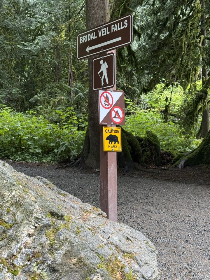 529234608_122225072042133510_6989418419696698325_n 529234608_122225072042133510_6989418419696698325_n