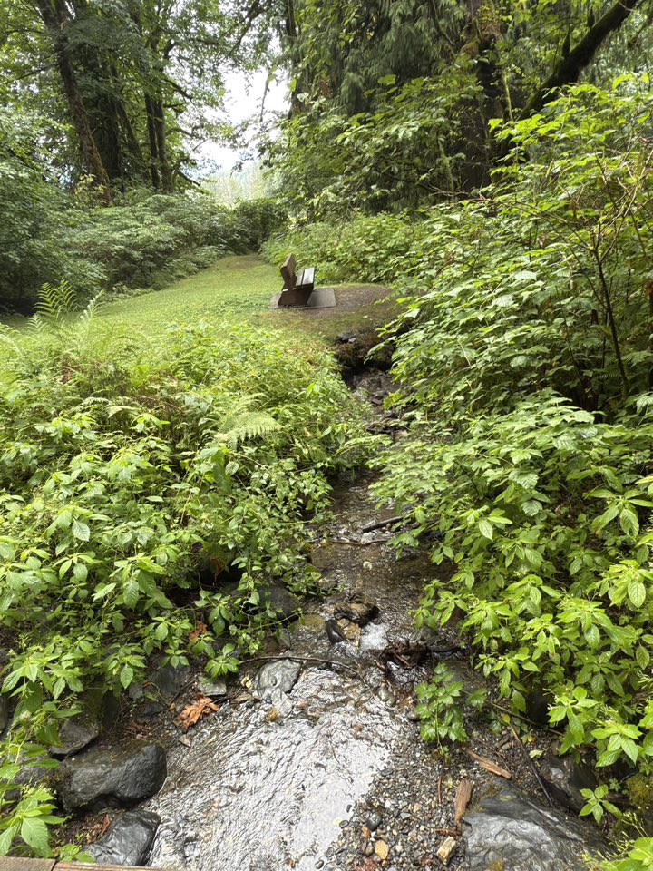 529238871_122225072612133510_5721213153119928527_n 529238871_122225072612133510_5721213153119928527_n