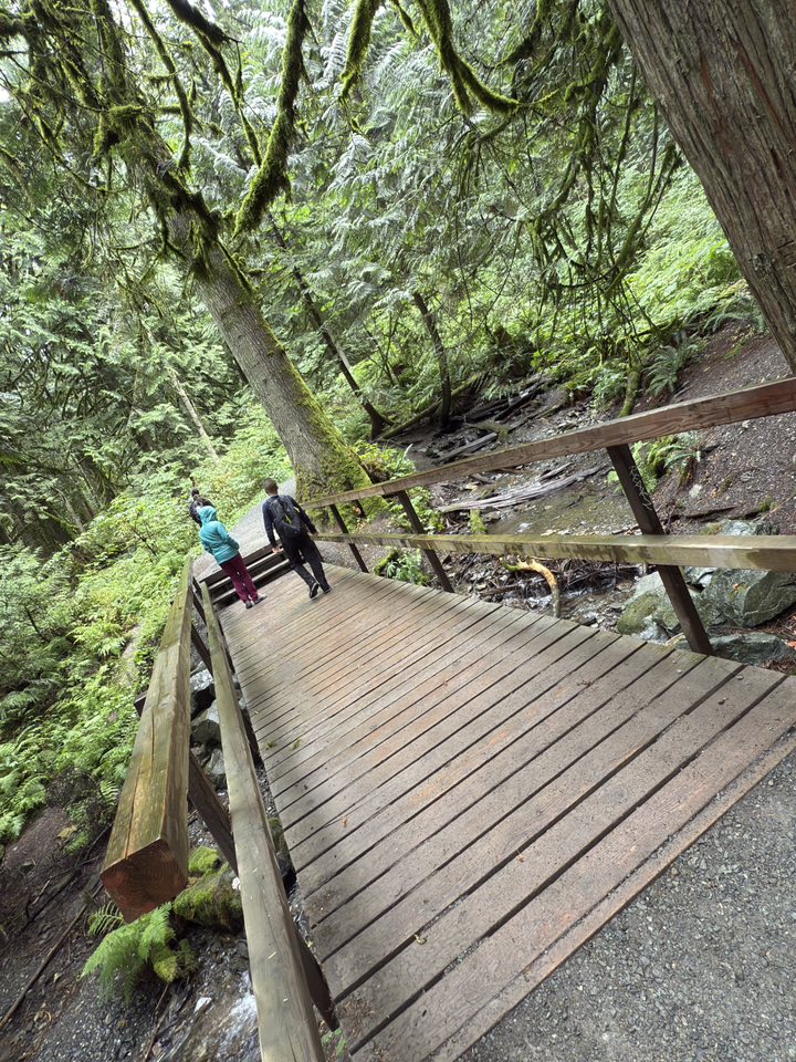 529259133_122225072552133510_2064894103389234203_n 529259133_122225072552133510_2064894103389234203_n