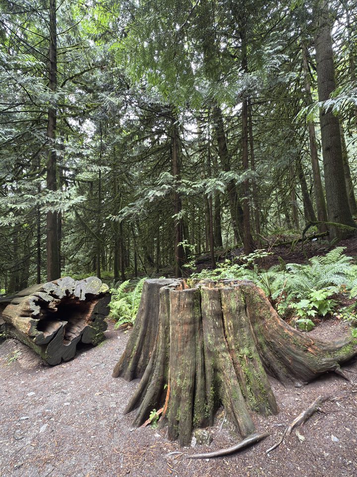 529270687_122225071796133510_6023263466220898800_n 529270687_122225071796133510_6023263466220898800_n