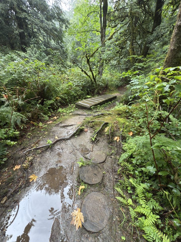 529296918_122225072000133510_1937822436041493590_n 529296918_122225072000133510_1937822436041493590_n