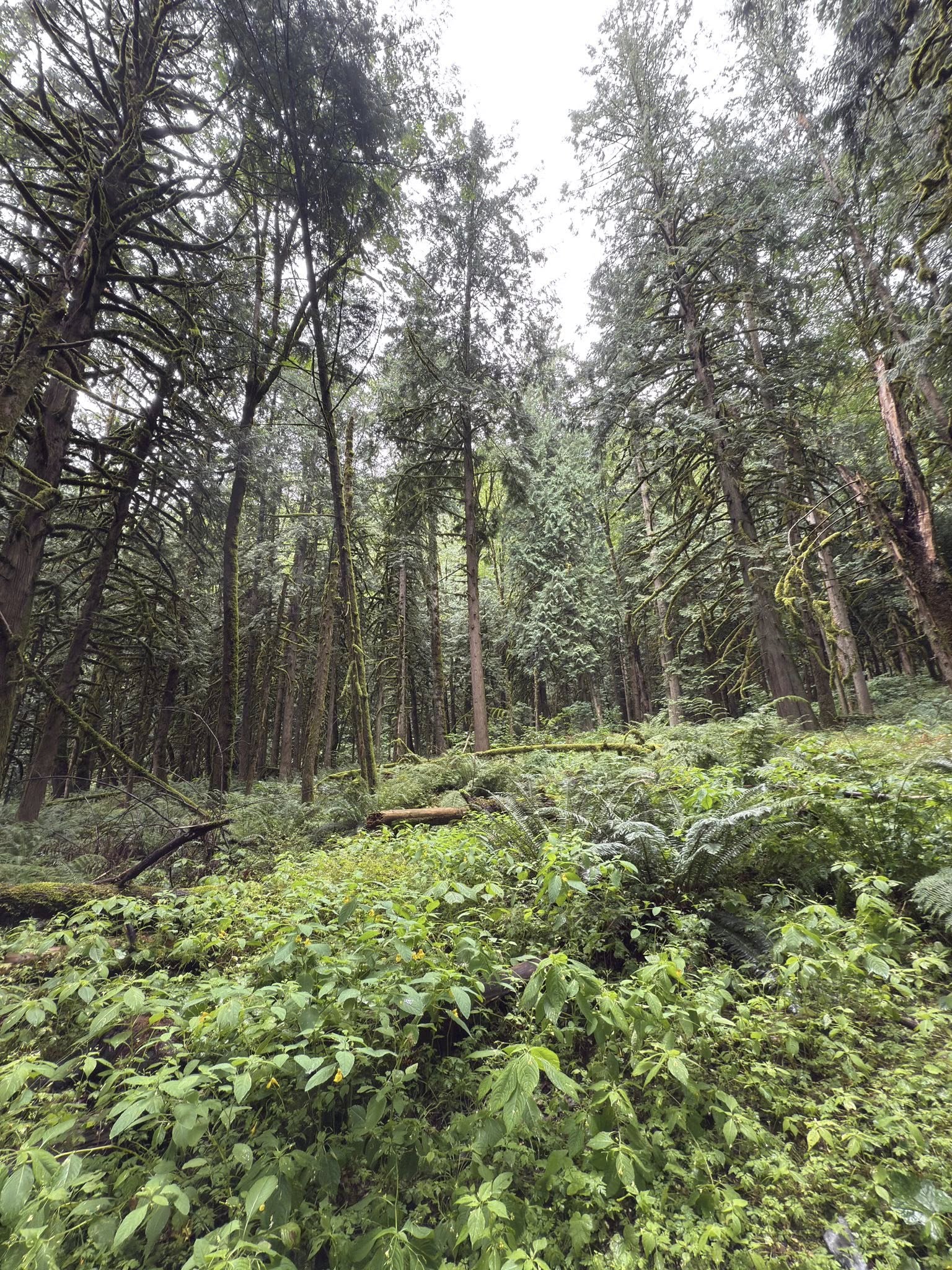 529300556_122225075618133510_5617339844617692434_n 529300556_122225075618133510_5617339844617692434_n