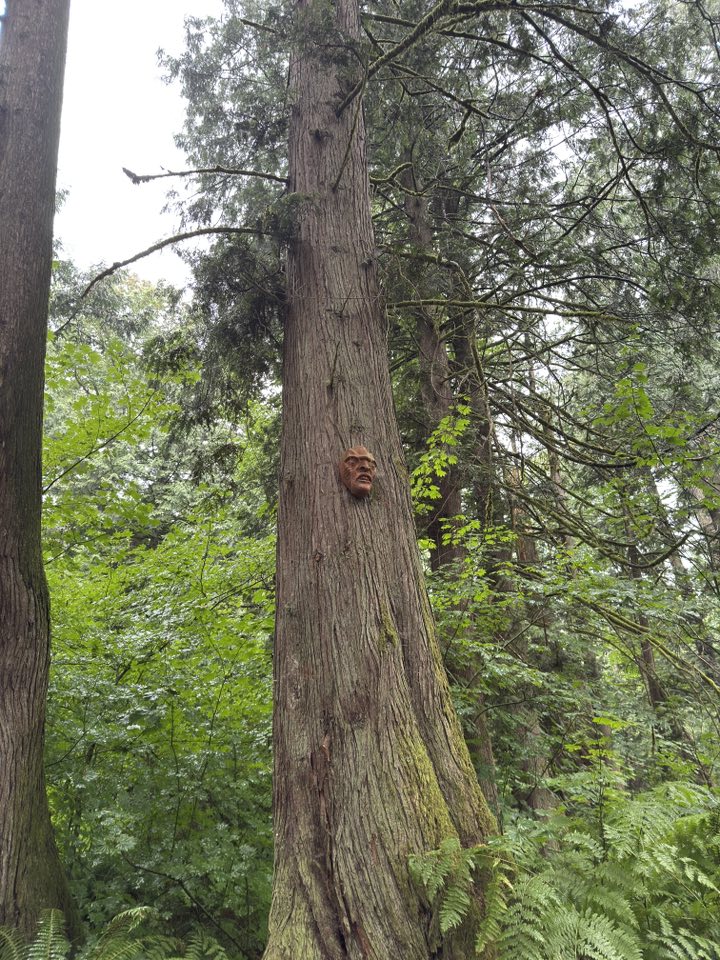 529302013_122225072372133510_718883360847686544_n 529302013_122225072372133510_718883360847686544_n