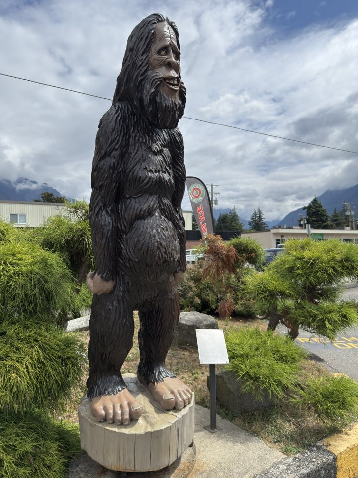 529362195_122225187794133510_2990827260660529459_n 529362195_122225187794133510_2990827260660529459_n