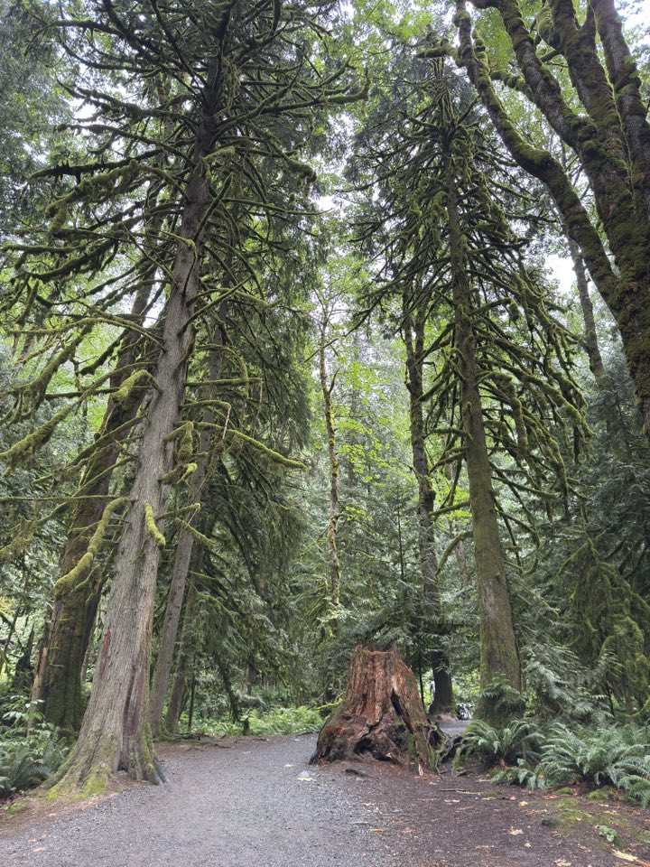 529374002_122225071964133510_6036313392903725658_n 529374002_122225071964133510_6036313392903725658_n