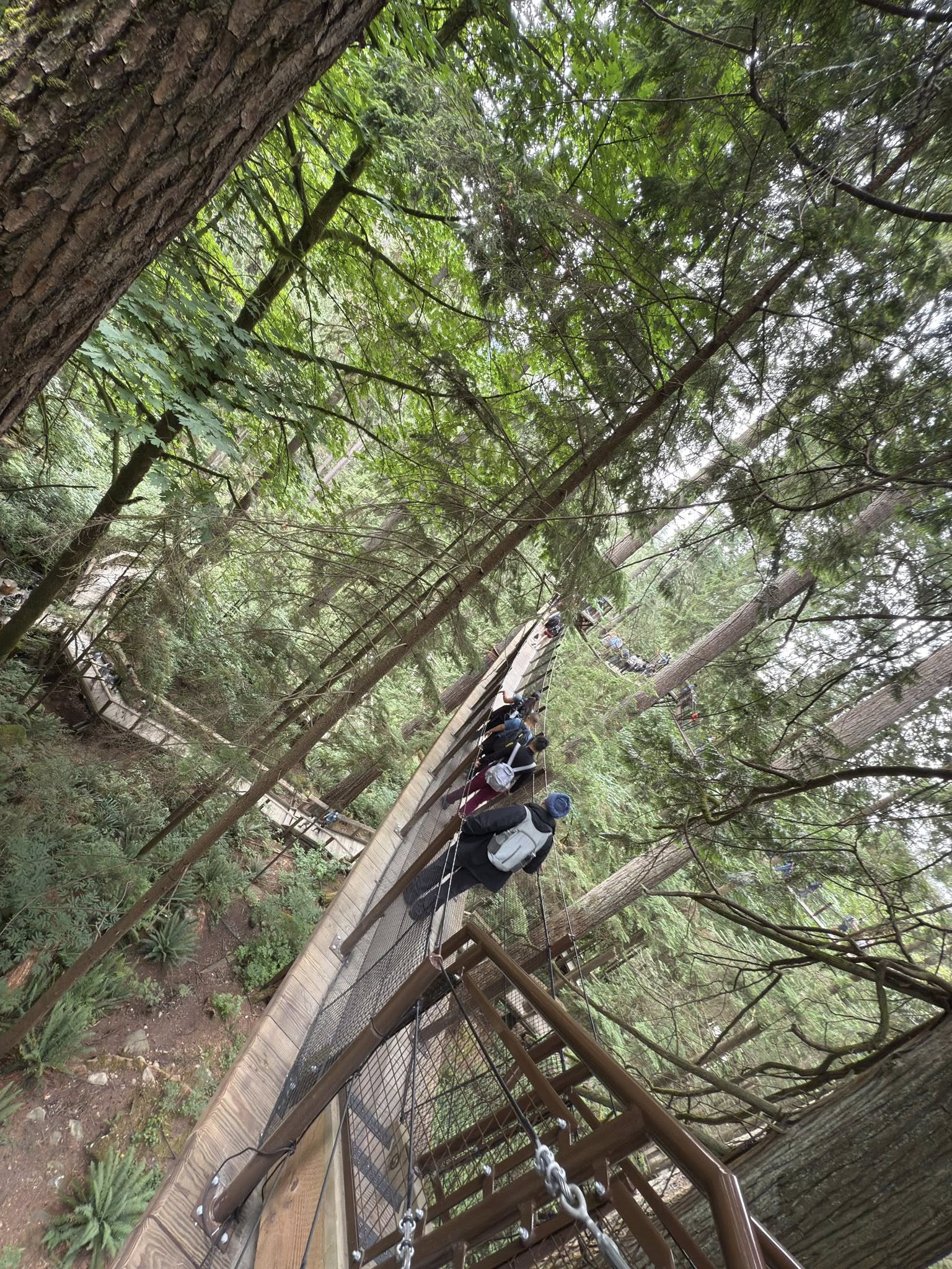 529382507_122224798160133510_959550767213066328_n 529382507_122224798160133510_959550767213066328_n