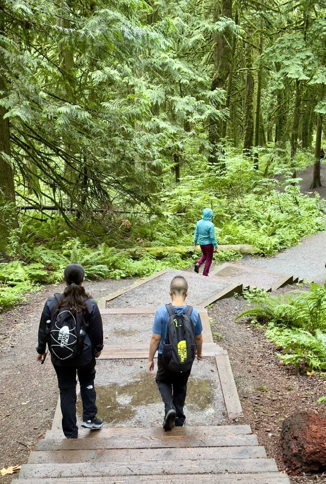 529392473_122225071640133510_8595214893479426972_n 529392473_122225071640133510_8595214893479426972_n