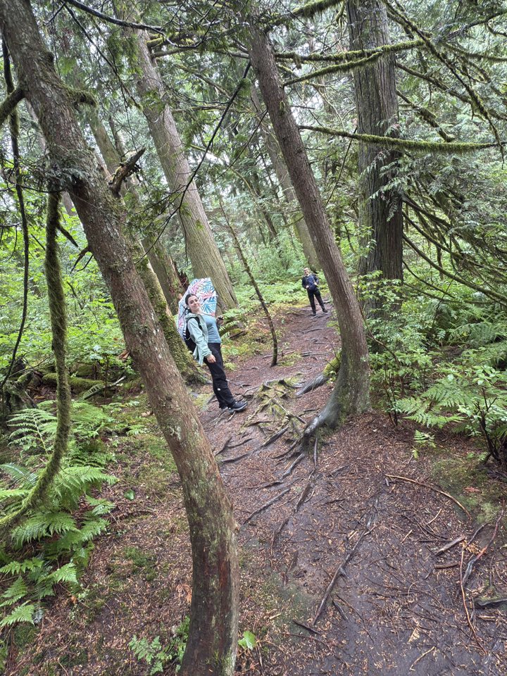 529410792_122225071172133510_928500169977083296_n 529410792_122225071172133510_928500169977083296_n