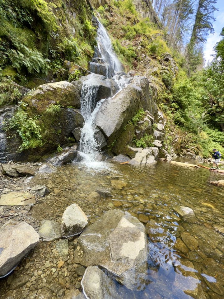 529474797_122225188058133510_5547418150172157994_n 529474797_122225188058133510_5547418150172157994_n