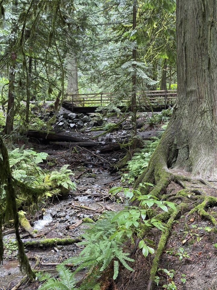 529630777_122225071622133510_2697138194747121100_n 529630777_122225071622133510_2697138194747121100_n