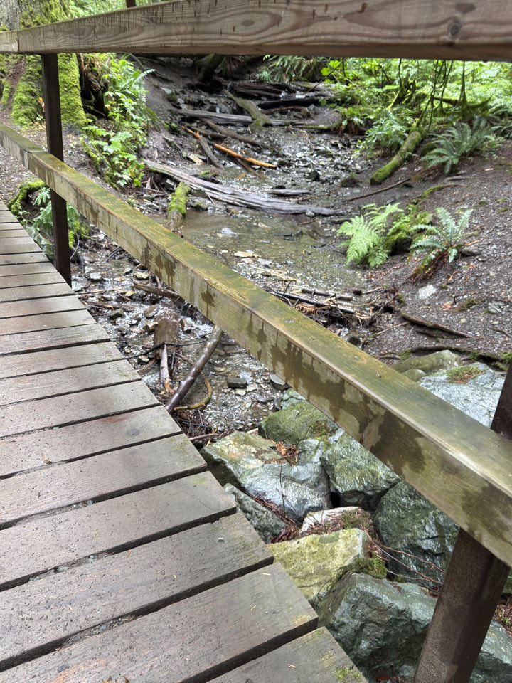 529673625_122225072258133510_4144674106610665998_n 529673625_122225072258133510_4144674106610665998_n