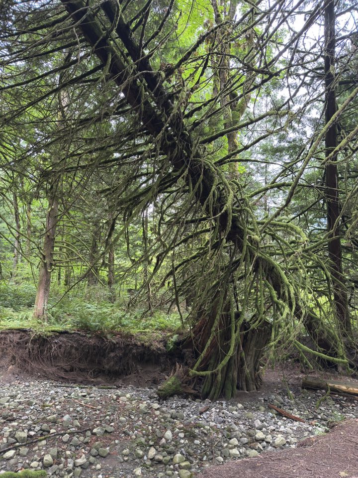 529683479_122225189996133510_4735738863533352509_n 529683479_122225189996133510_4735738863533352509_n