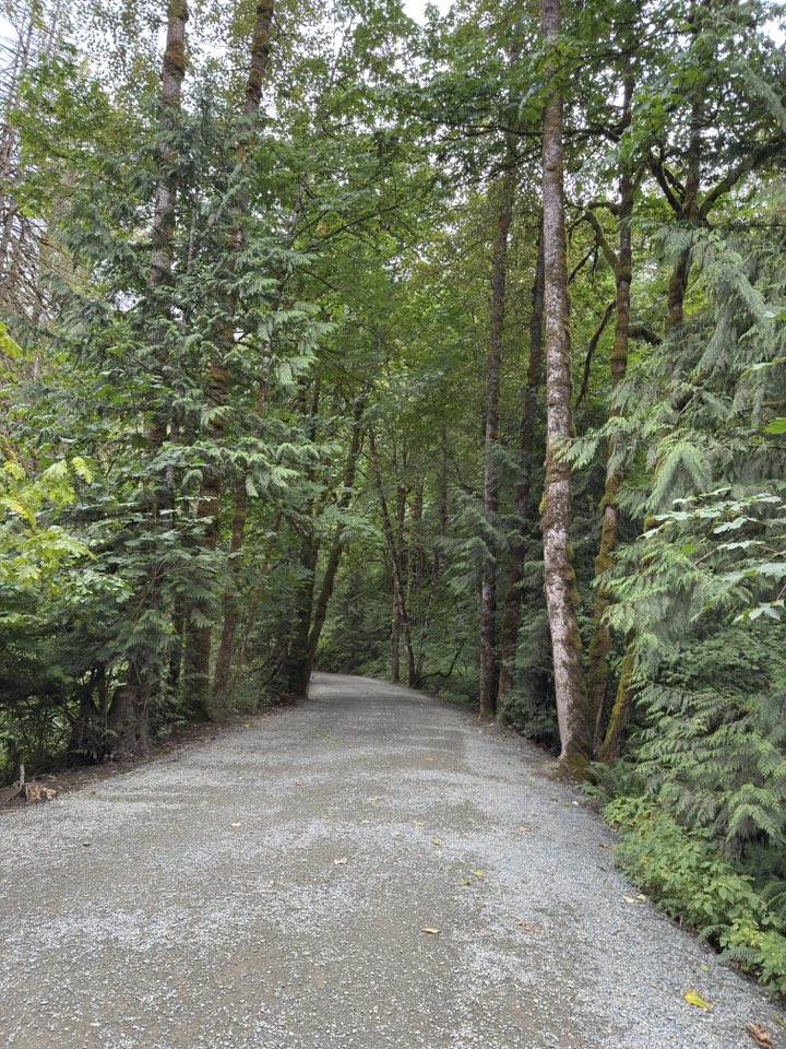 529758174_122225188502133510_3322409871676161587_n 529758174_122225188502133510_3322409871676161587_n