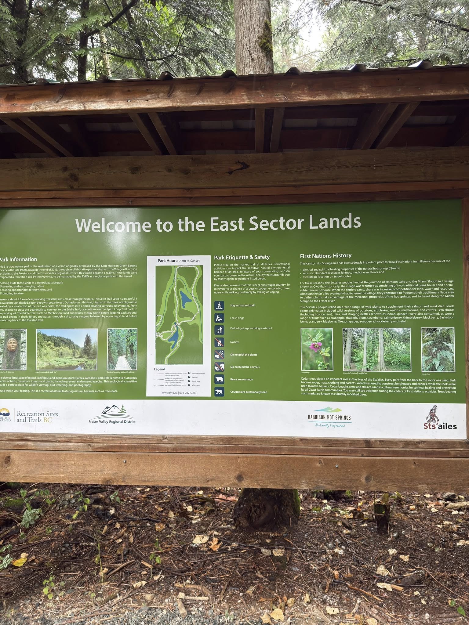 529805383_122225074520133510_813906074873673610_n 529805383_122225074520133510_813906074873673610_n