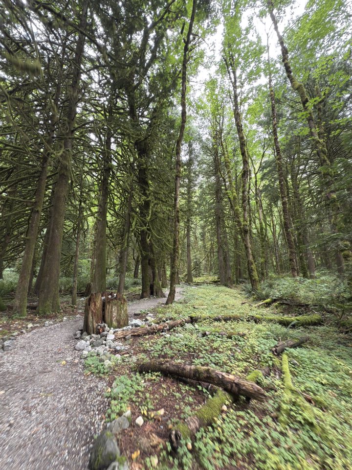 529806869_122225188016133510_2285195889634453802_n 529806869_122225188016133510_2285195889634453802_n