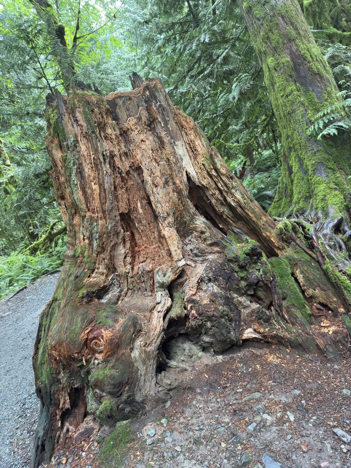 529828050_122225072696133510_8620042504605968975_n 529828050_122225072696133510_8620042504605968975_n